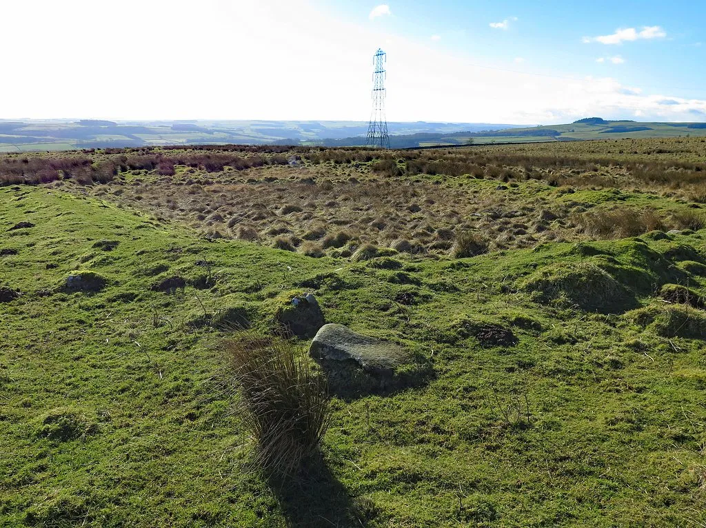 Photo showing: Banked enclosure west of Meggie's Dene Burn