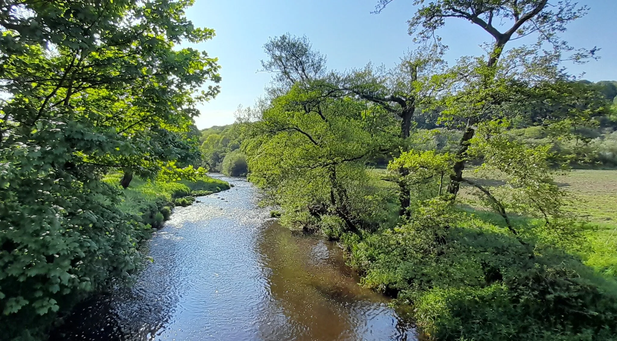 Photo showing: The River Derwent near Ebchester.