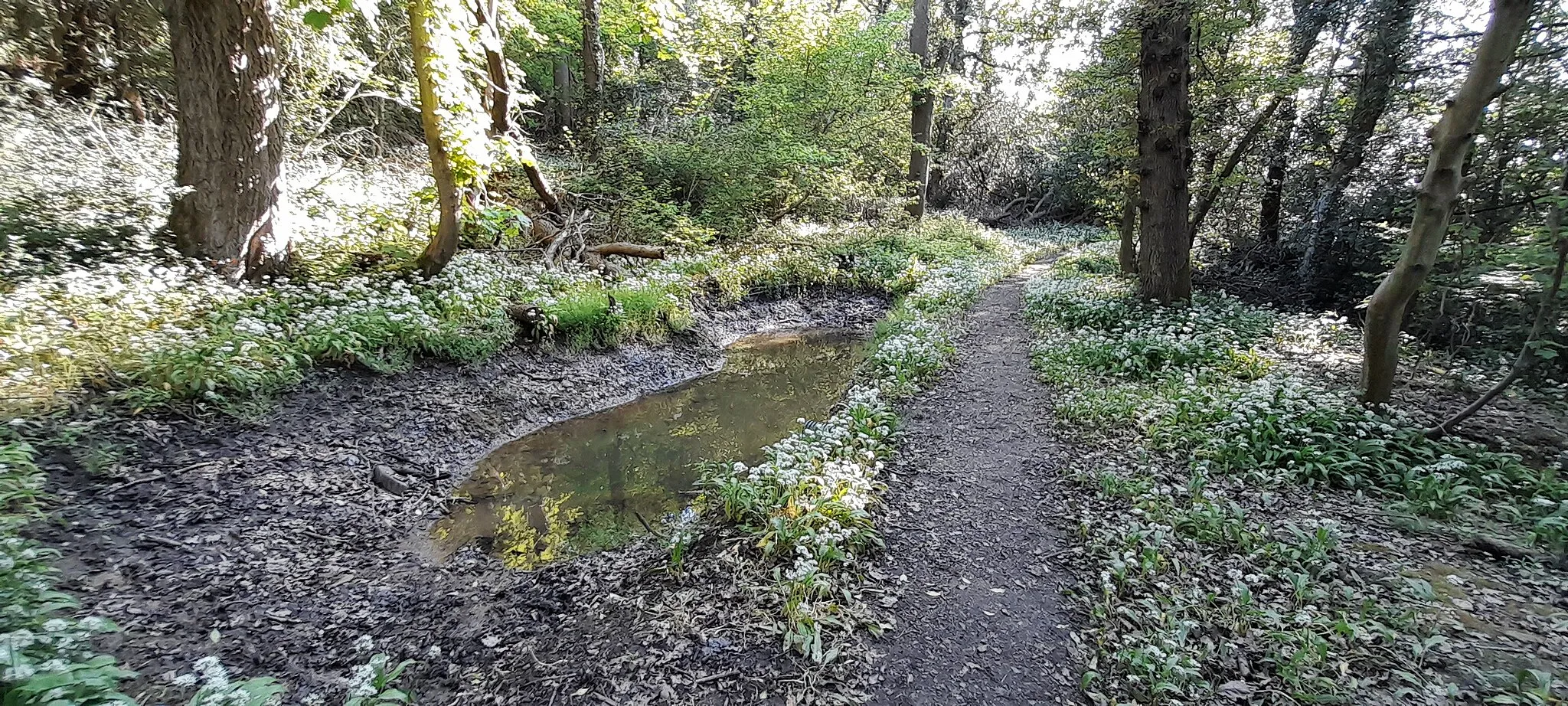 Photo showing: Embleton Pond near the village of Ebchester.