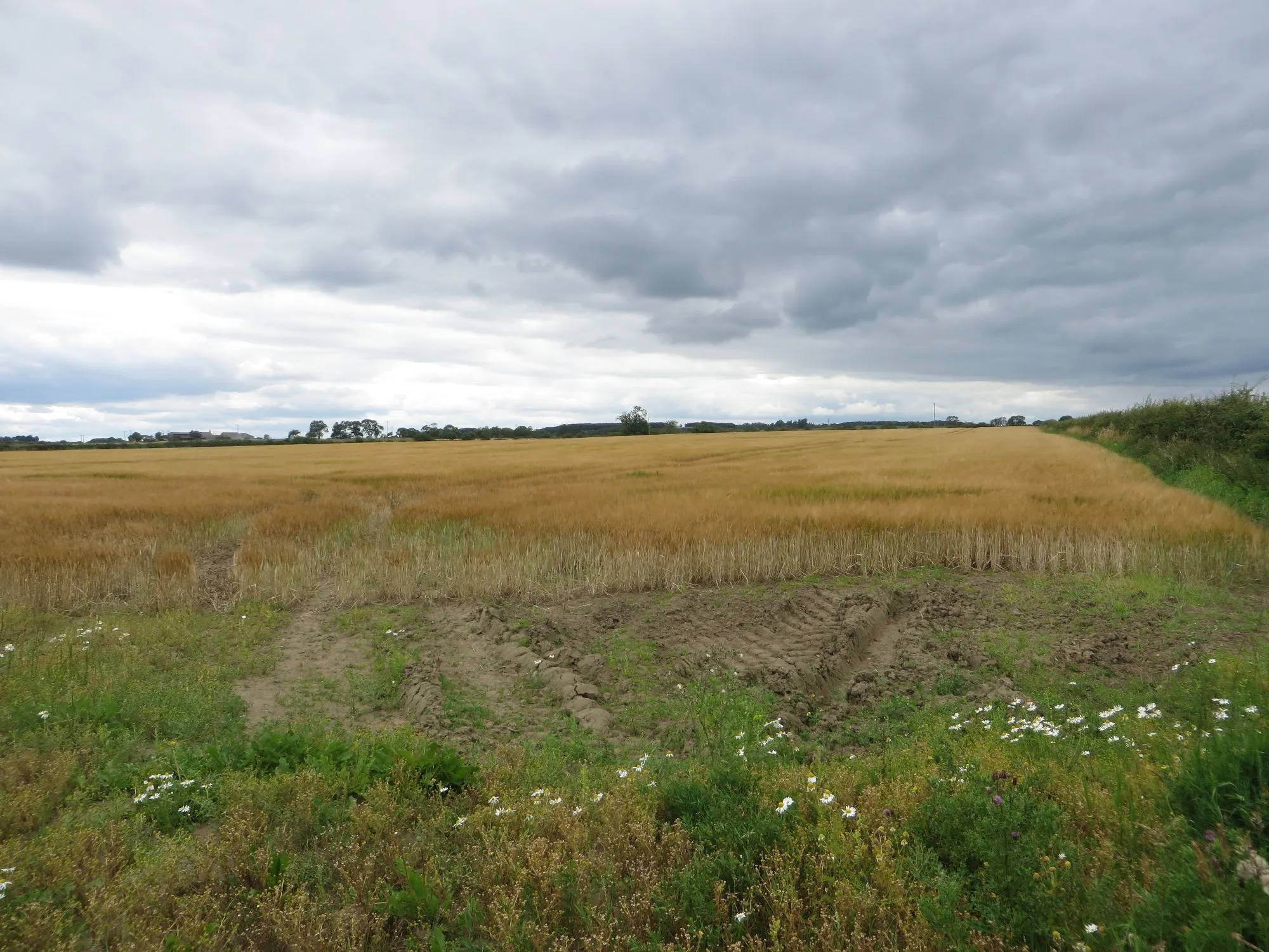 Photo showing: Arable field south of Ulgham