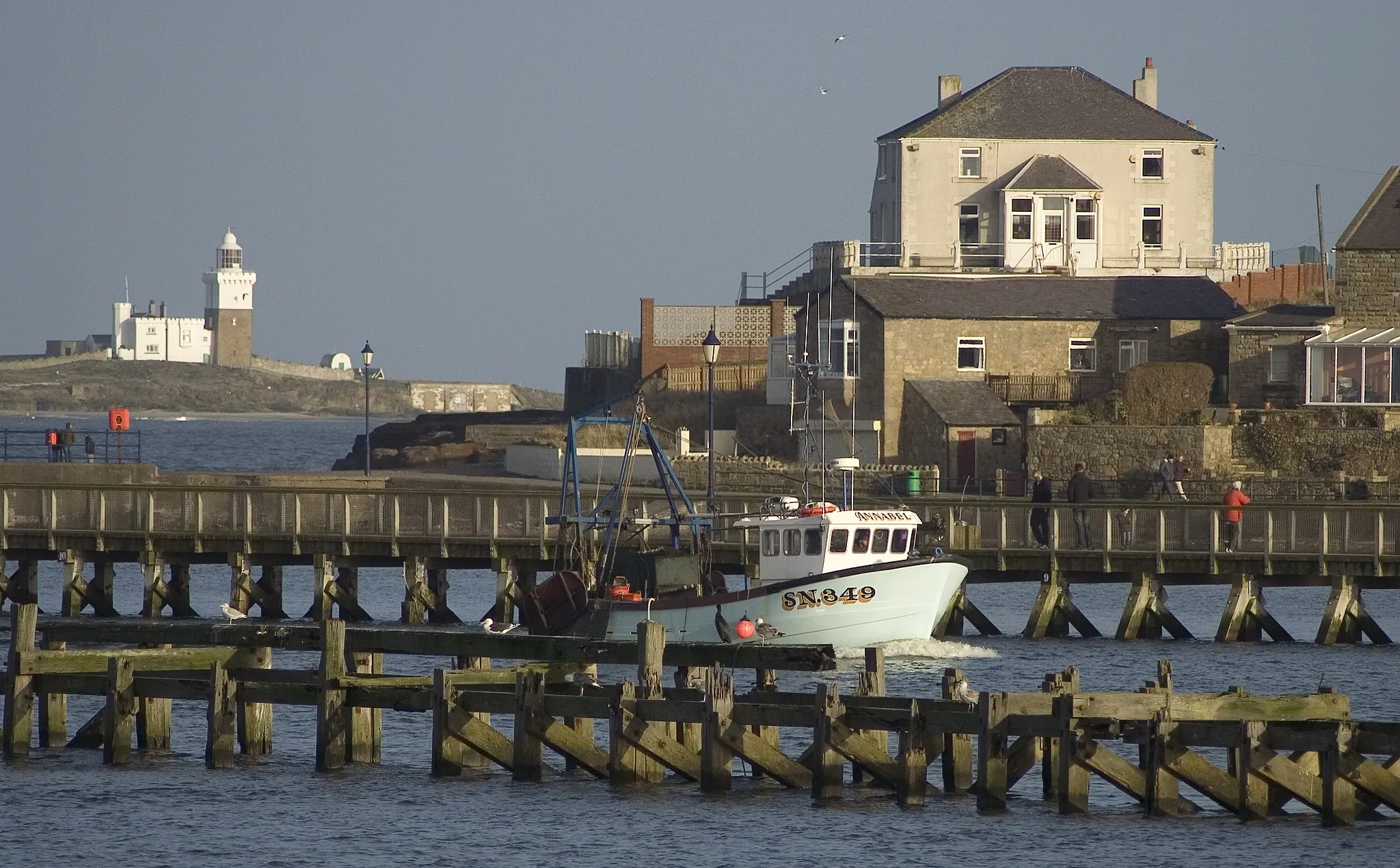 Photo showing: Amble harbour at night