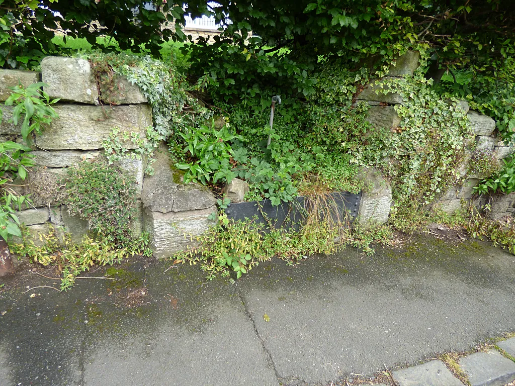 Photo showing: Overgrown trough, Eglingham