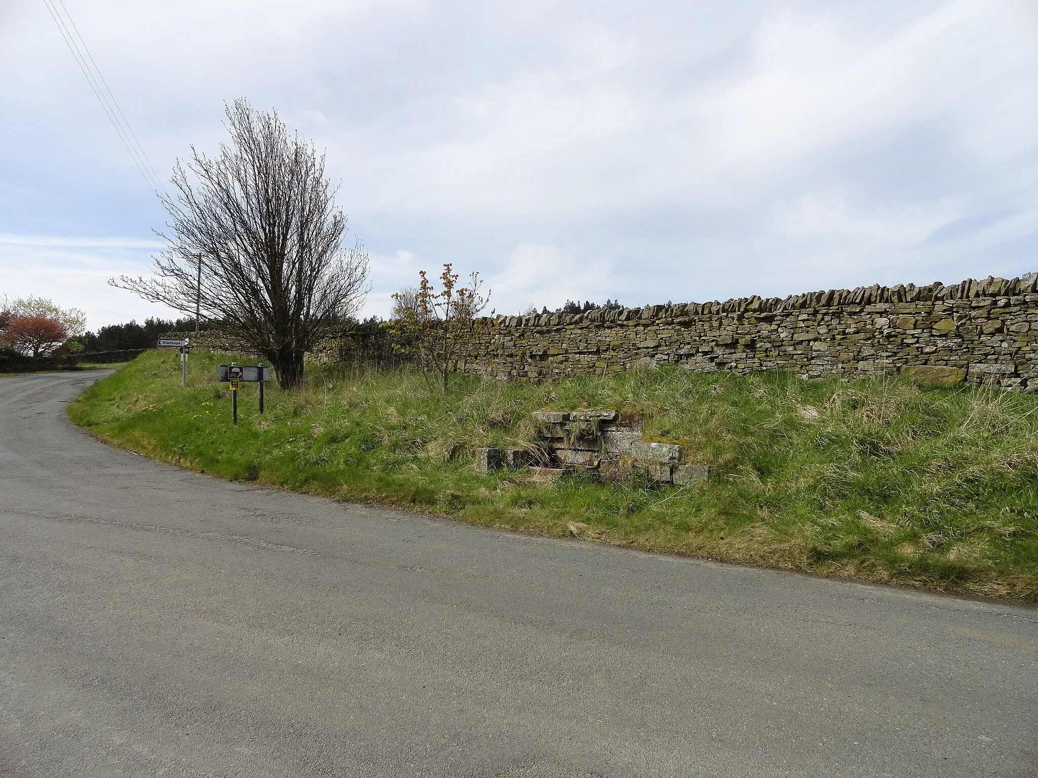 Photo showing: Roadside spring