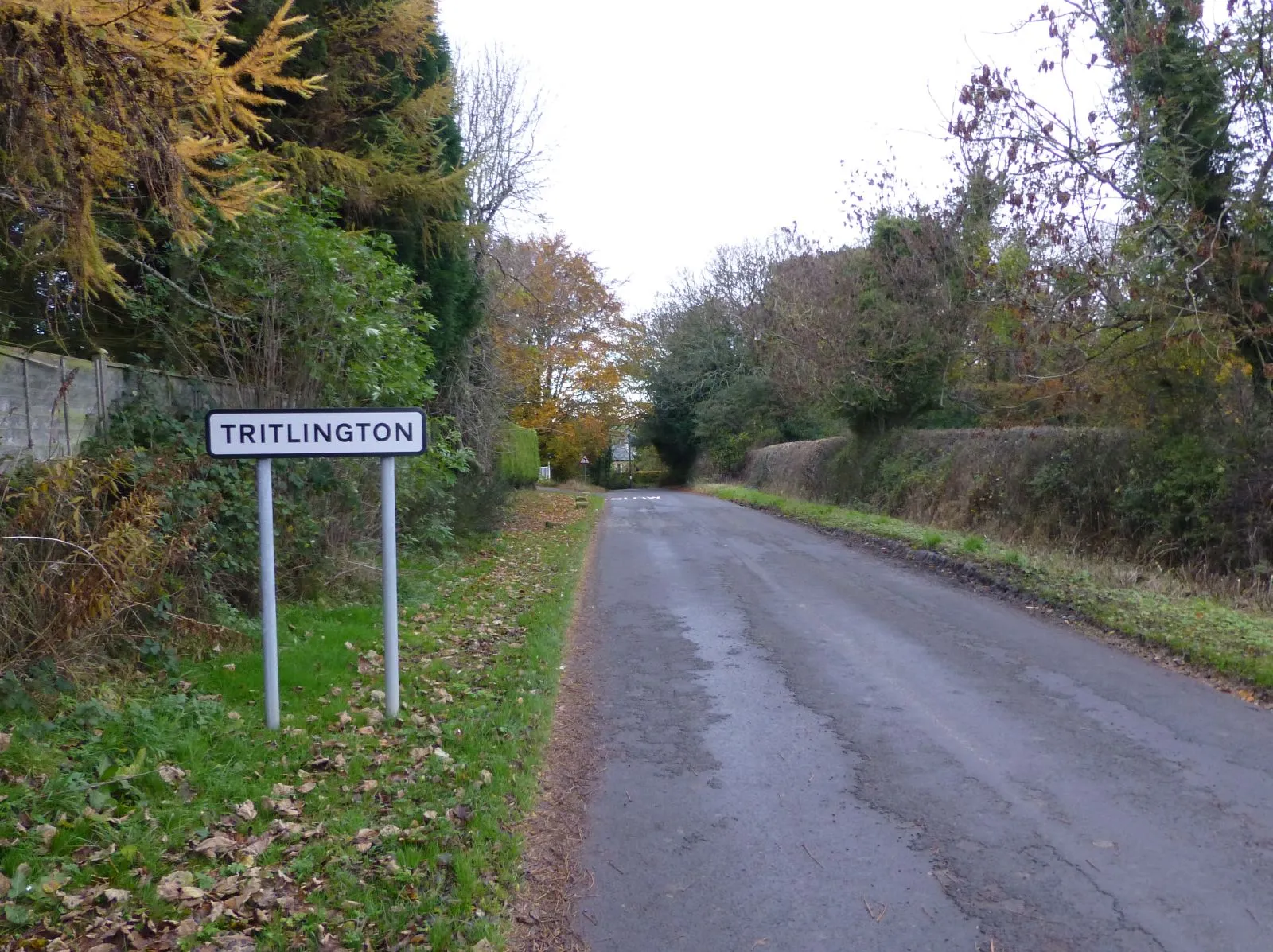 Photo showing: Approaching Tritlington