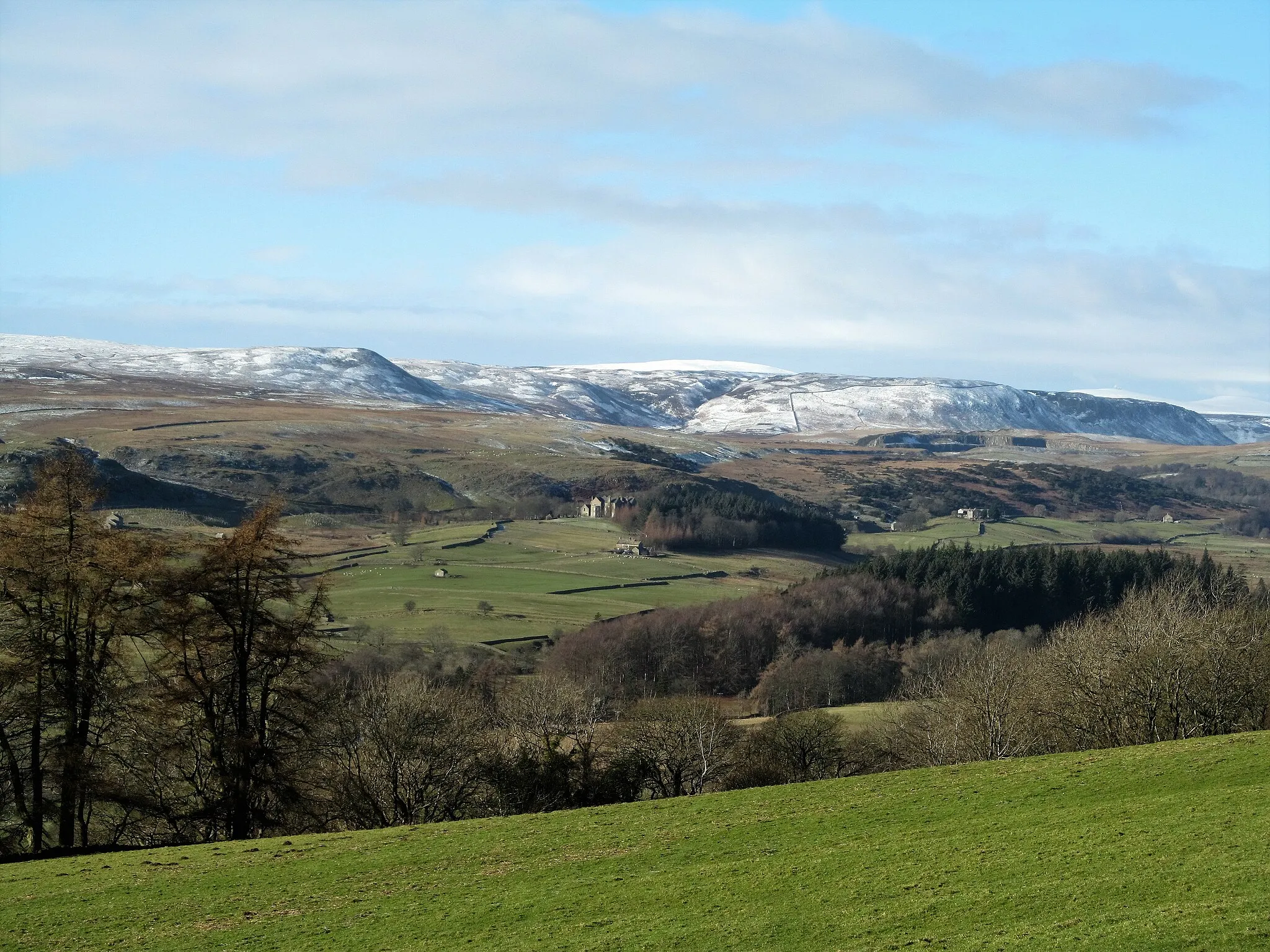 Photo showing: Across Teesdale from near Bell House