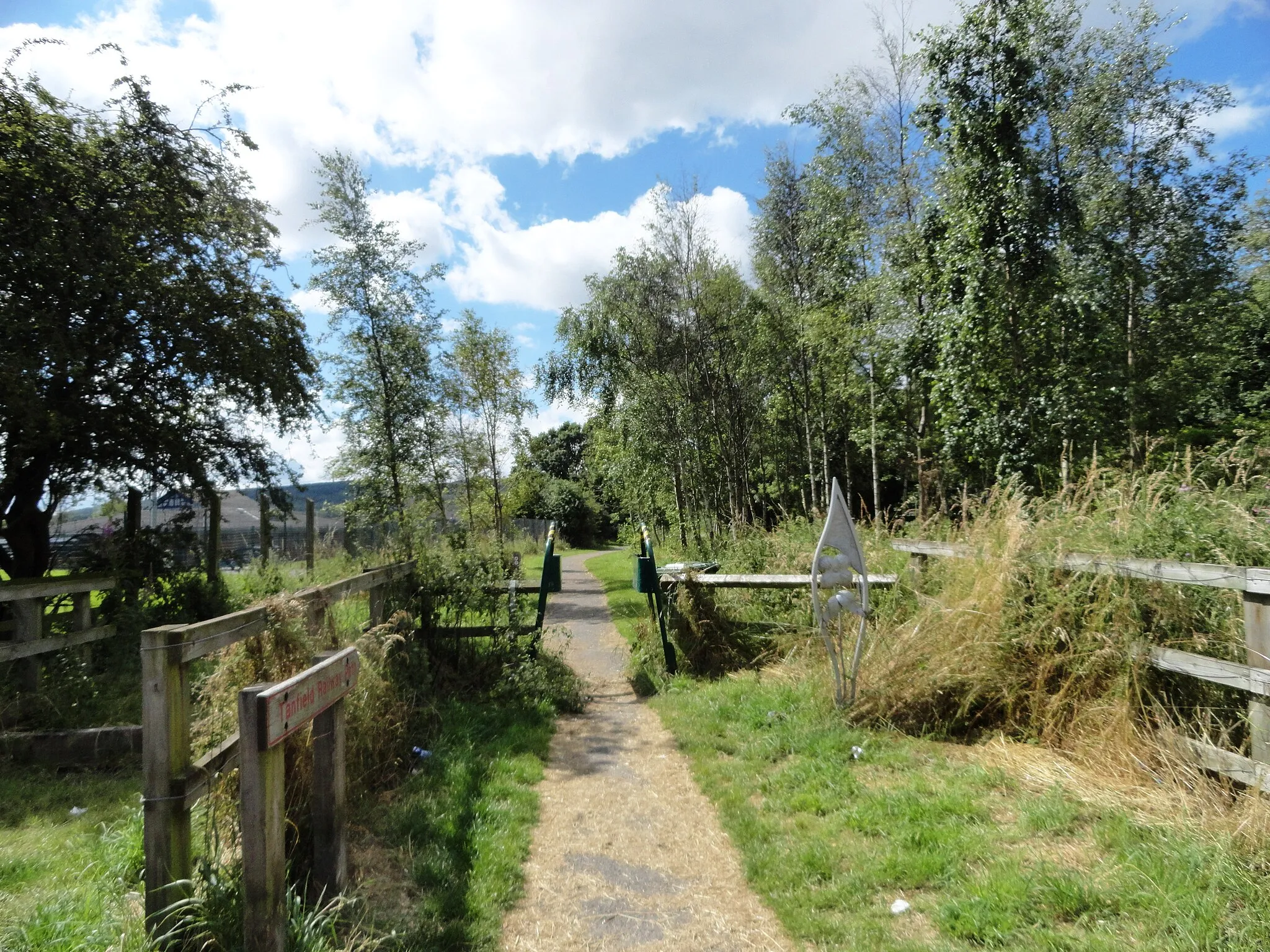 Photo showing: Path into Watergate Country Park