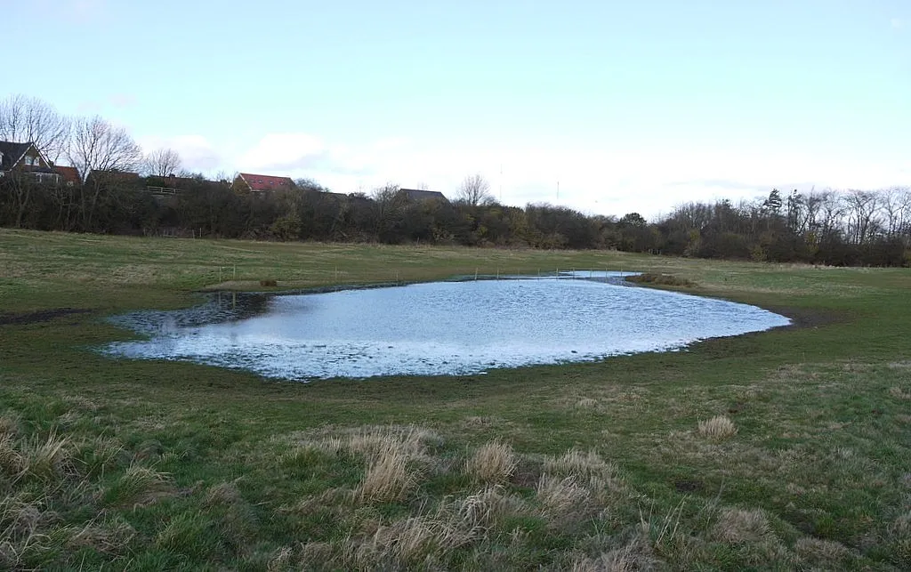 Photo showing: Pond, Greenside