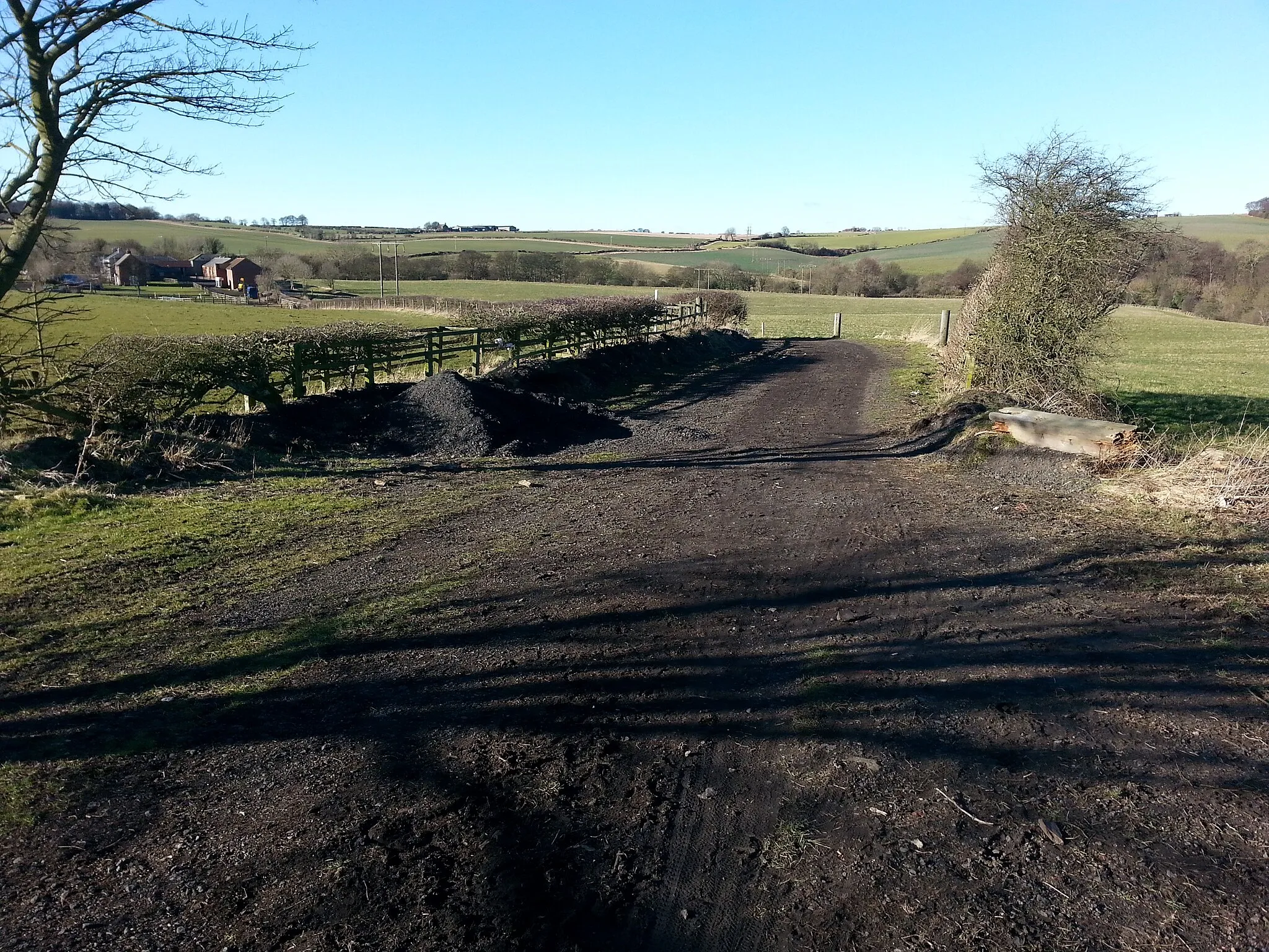 Photo showing: Bridleway that crosses National Cycle Route 1 heading towards West Cherry Knowle