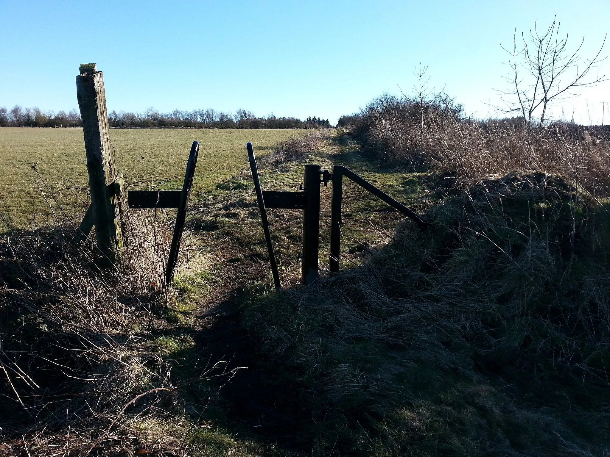 Photo showing: Bridleway that crosses National Cycle Route 1 east of West Cherry Knowle