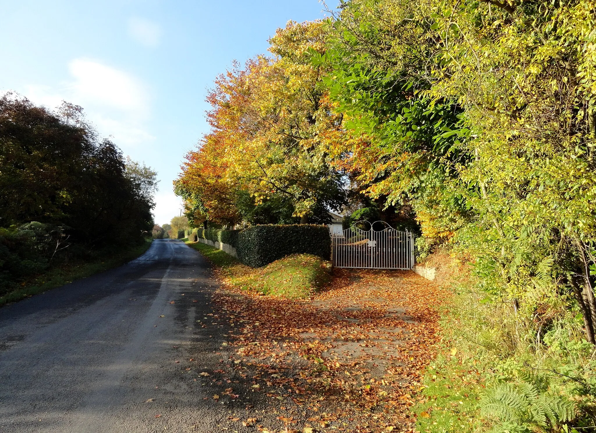 Photo showing: Autumn colours along Hamsteels Lane