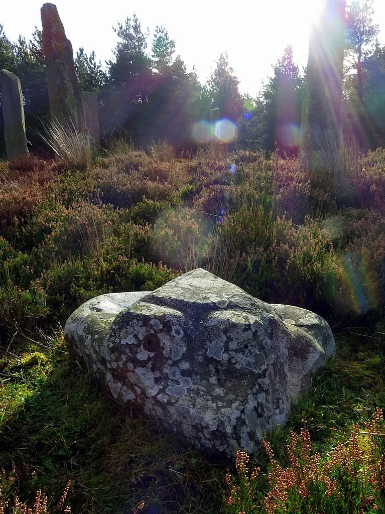 Photo showing: 'Frog stone', finger stone circle, Ladycross Bank Quarry