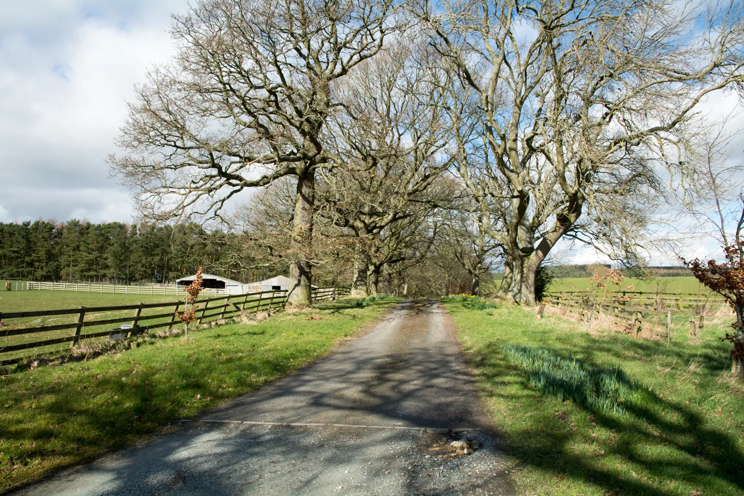 Photo showing: Access road for West Woodfoot