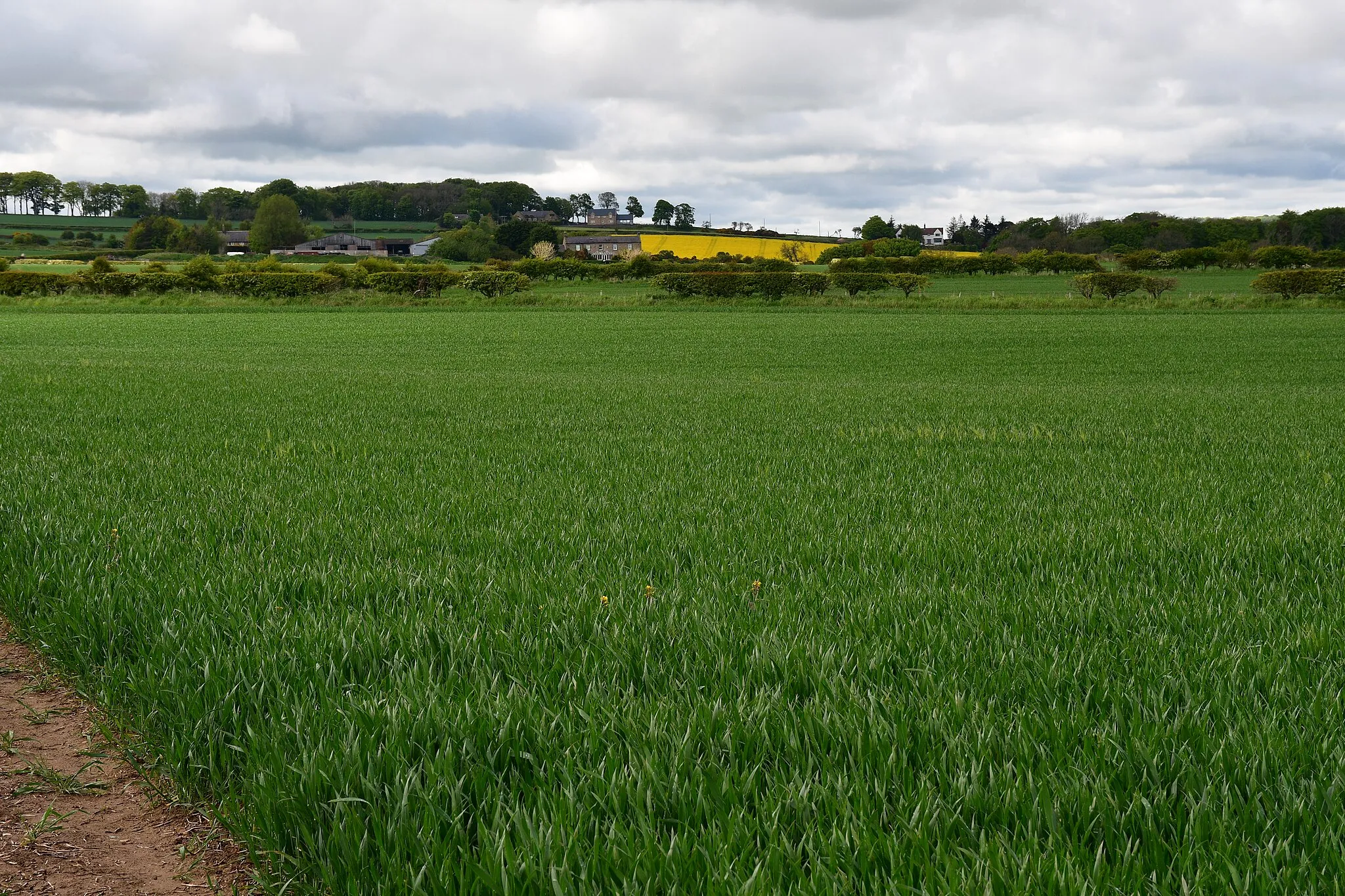 Photo showing: Bilton, Northumberland