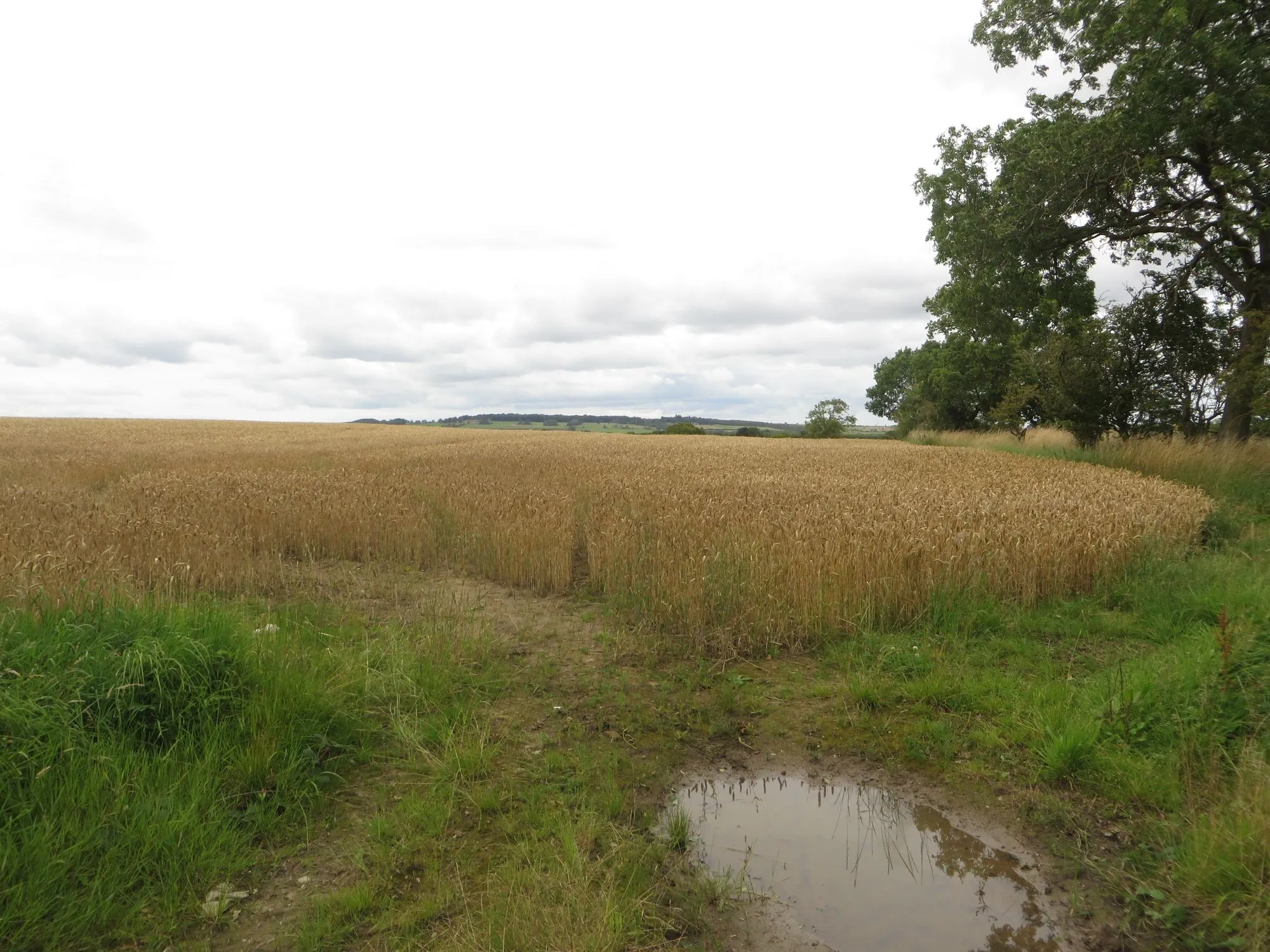 Photo showing: Arable field east of Pigdon