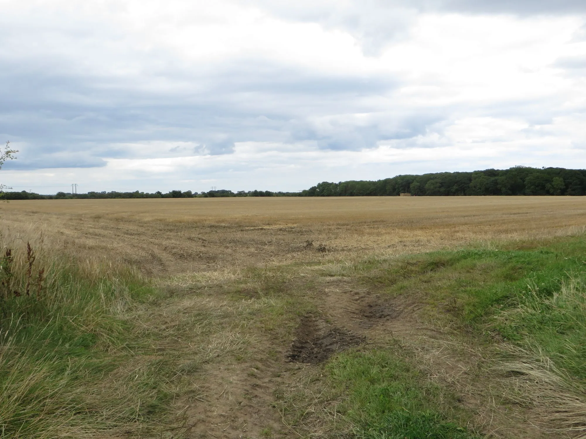 Photo showing: Arable field north of Broomhaugh