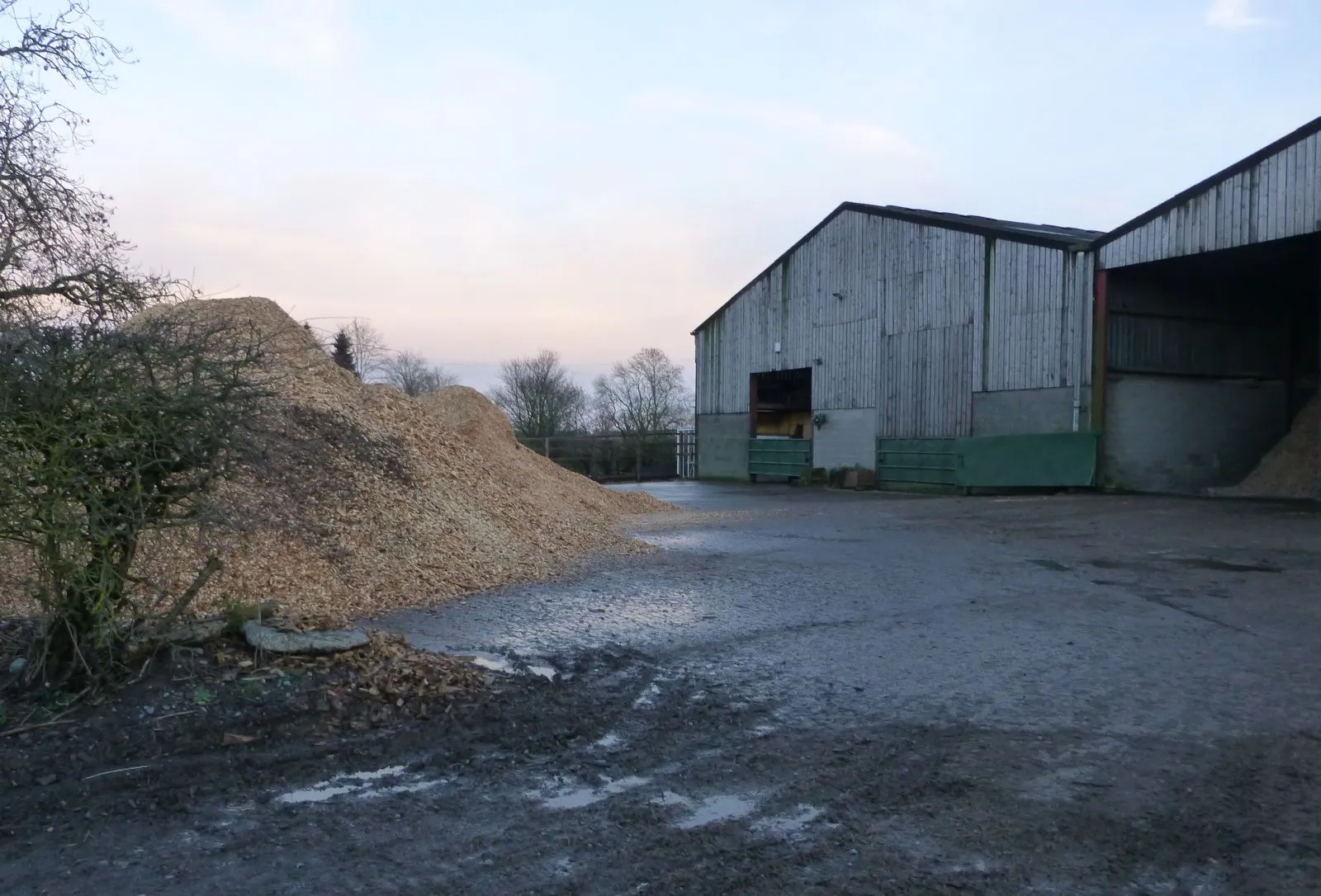 Photo showing: Huge pile of woodchips