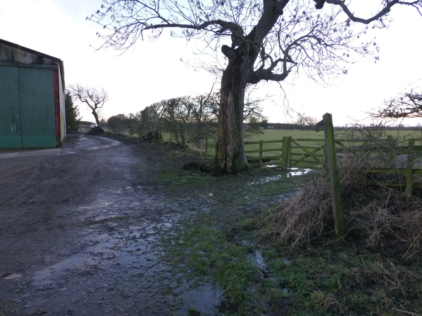 Photo showing: Footpath to Penny Hill