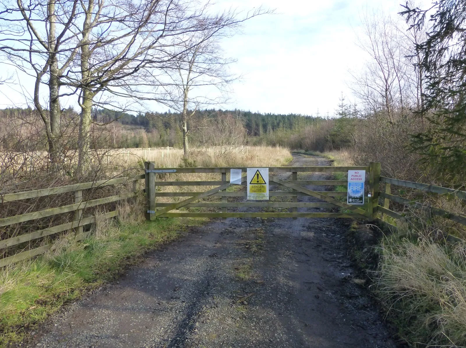 Photo showing: Access into Kyloe Wood