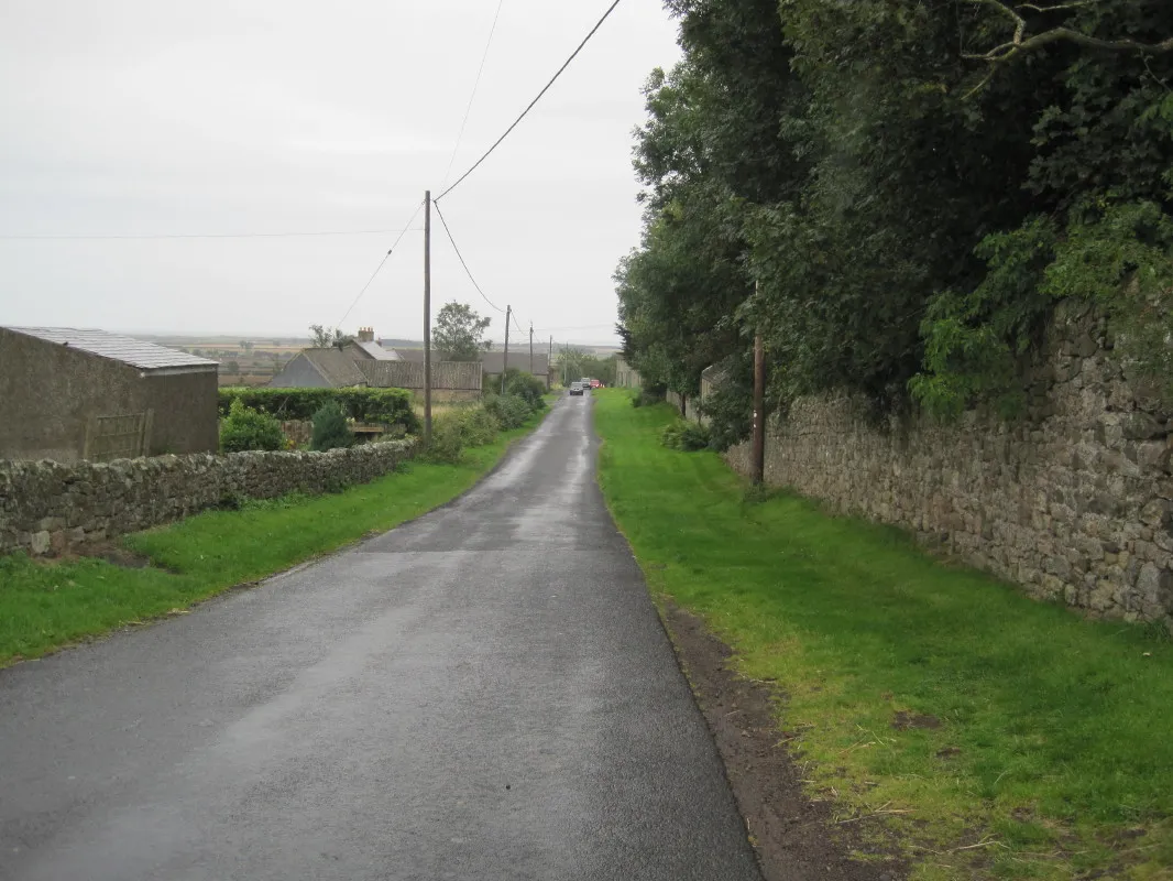 Photo showing: Road leading to Detchant