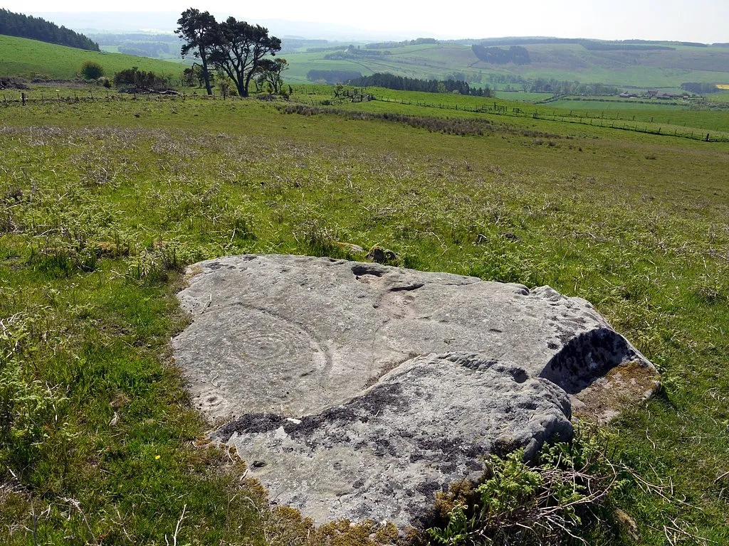 Photo showing: 'Gled Law 3' cup and ring marked rock