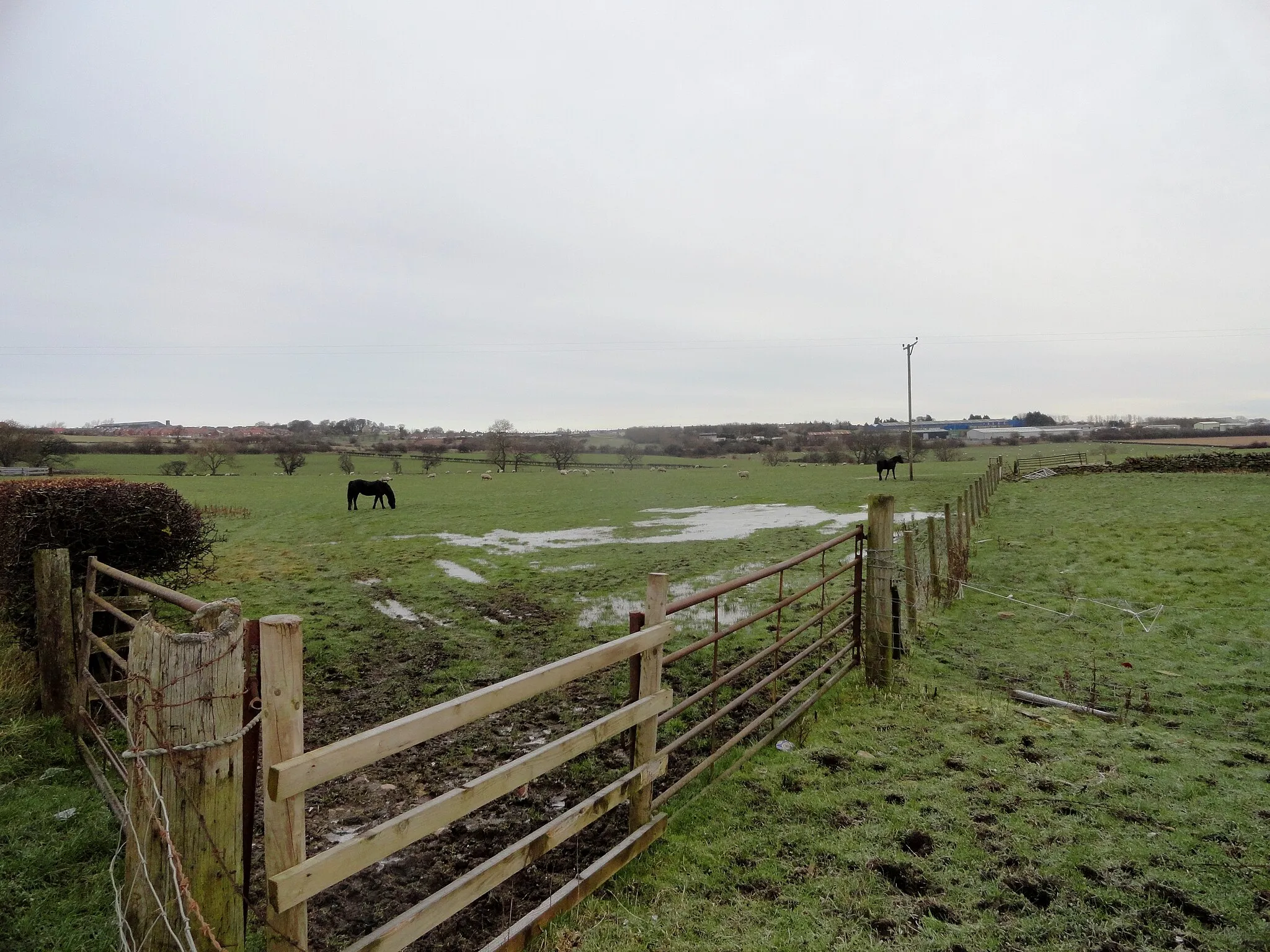 Photo showing: Fields at High Knitsley