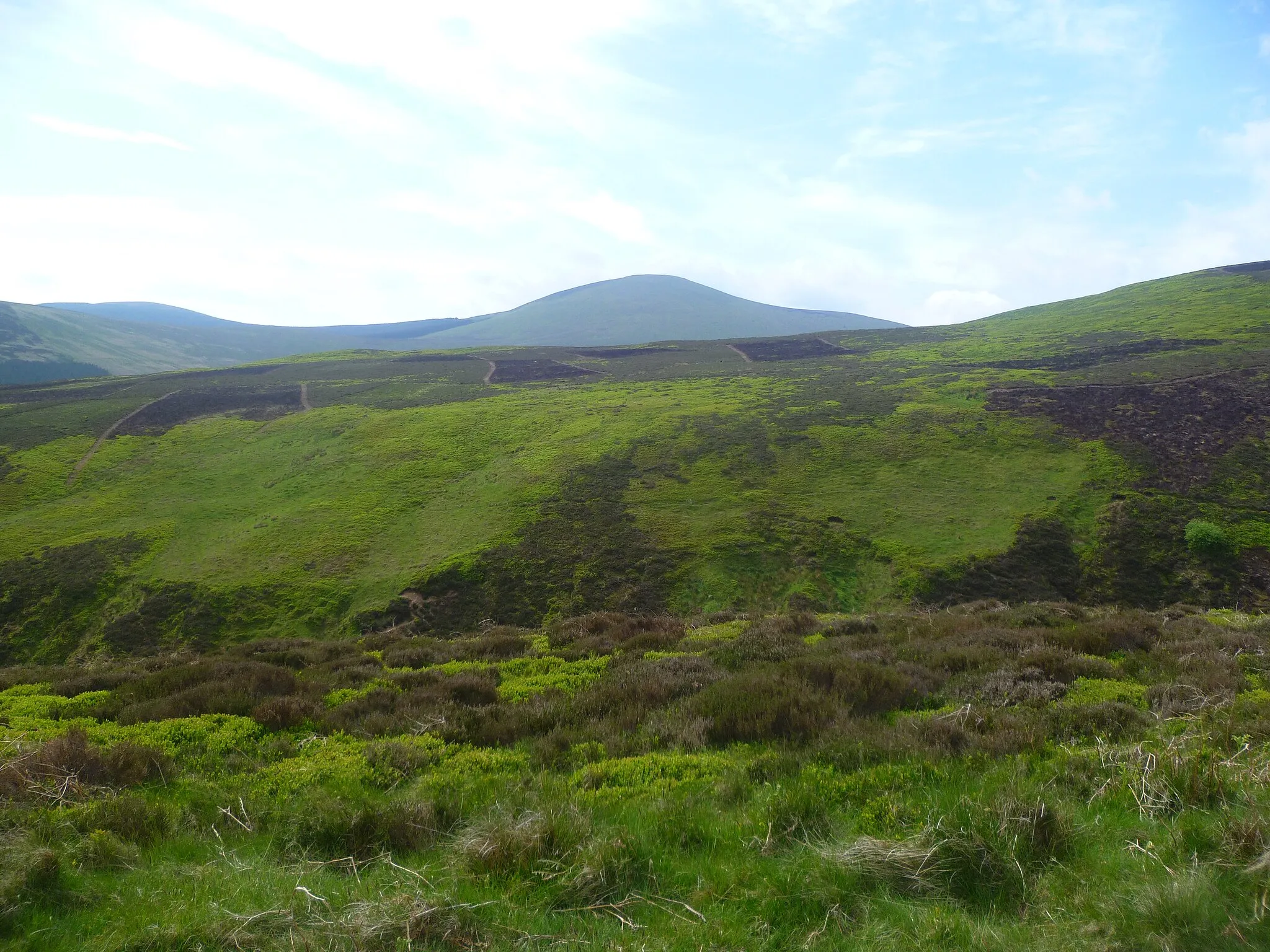 Photo showing: Above Hawsen Burn