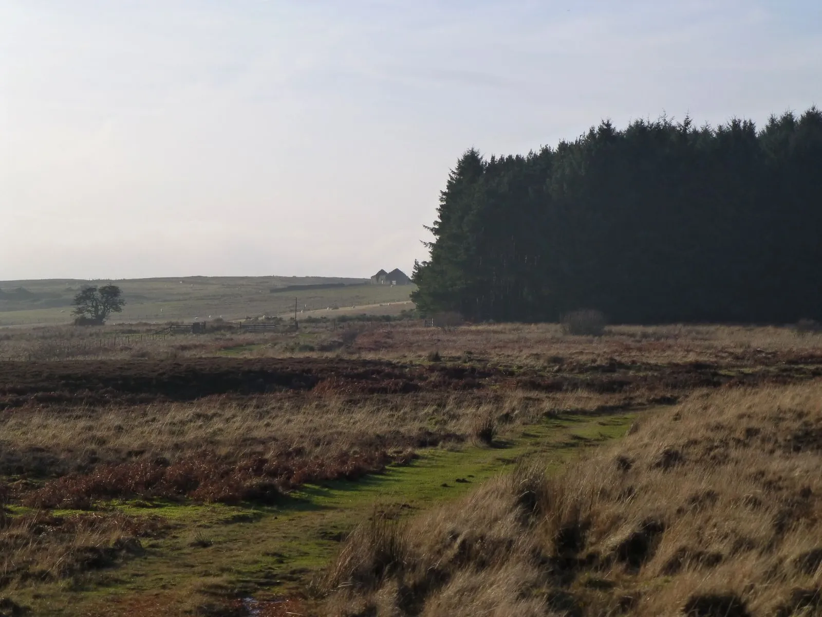 Photo showing: A derelict building at Brownridge