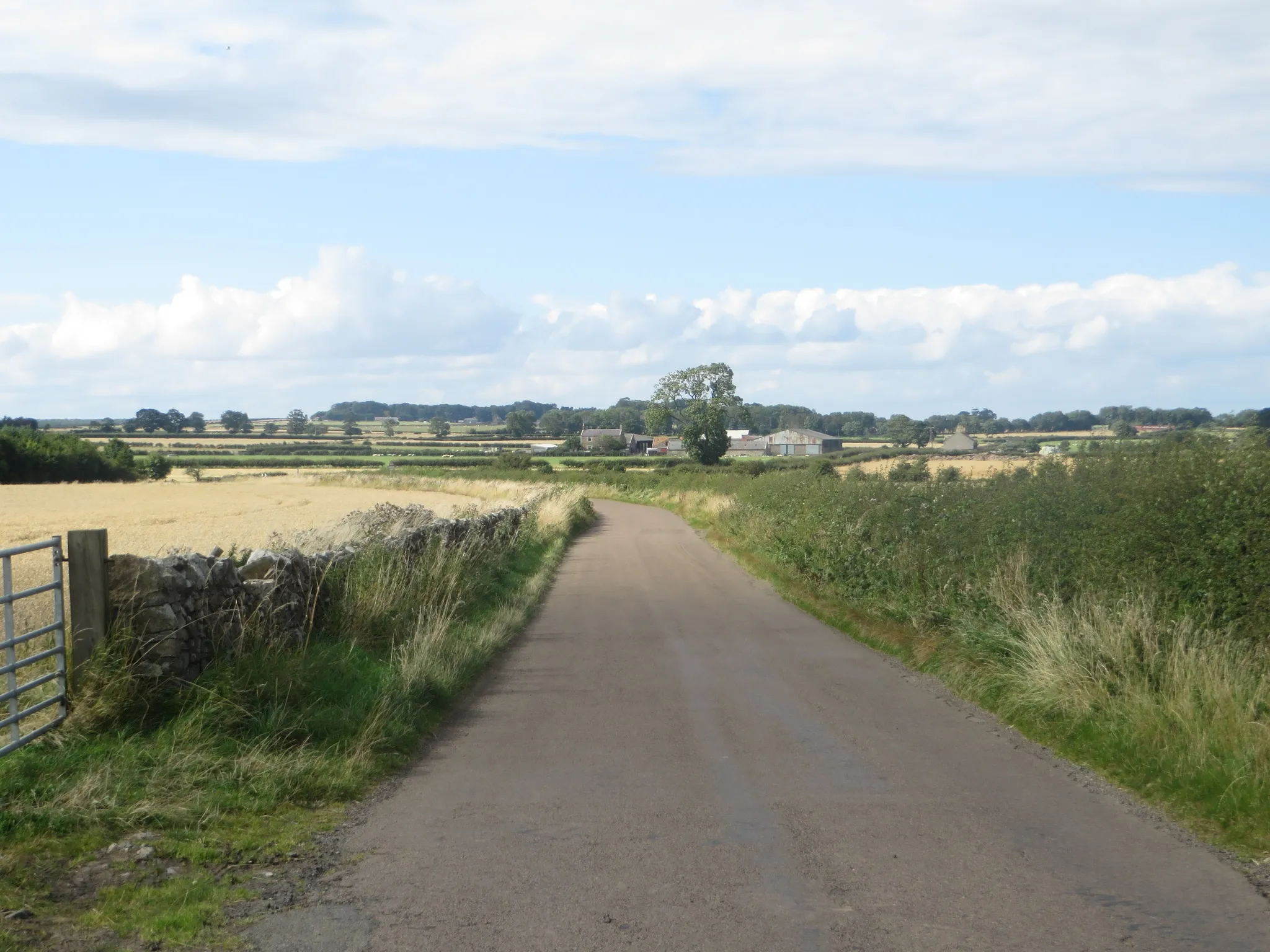 Photo showing: Country road north of Swinhoe