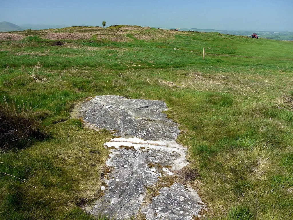 Photo showing: Dod Law 'Main Rock A', cup and ring marked rock