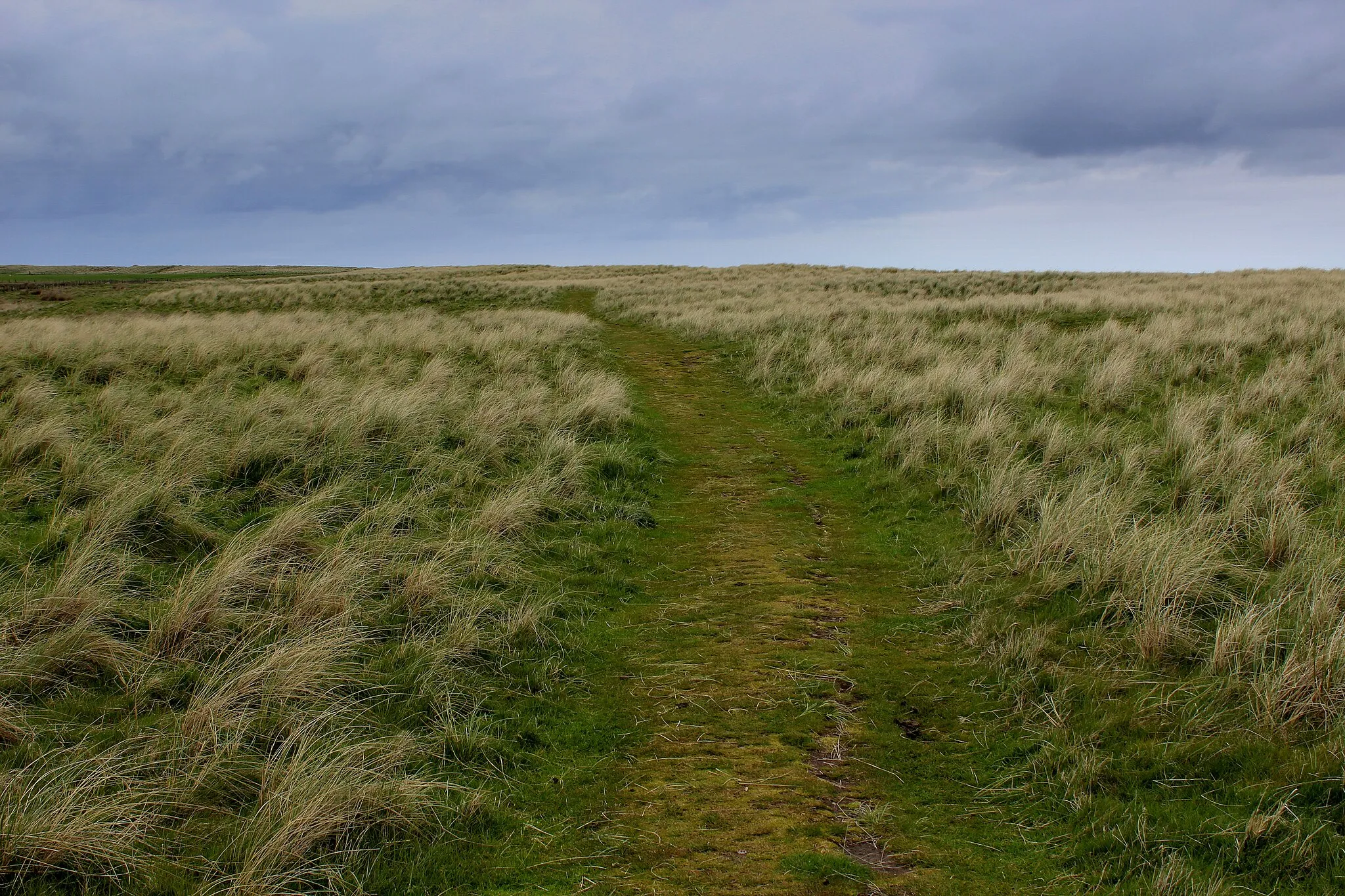 Photo showing: Coastal Path by Goswick Sands