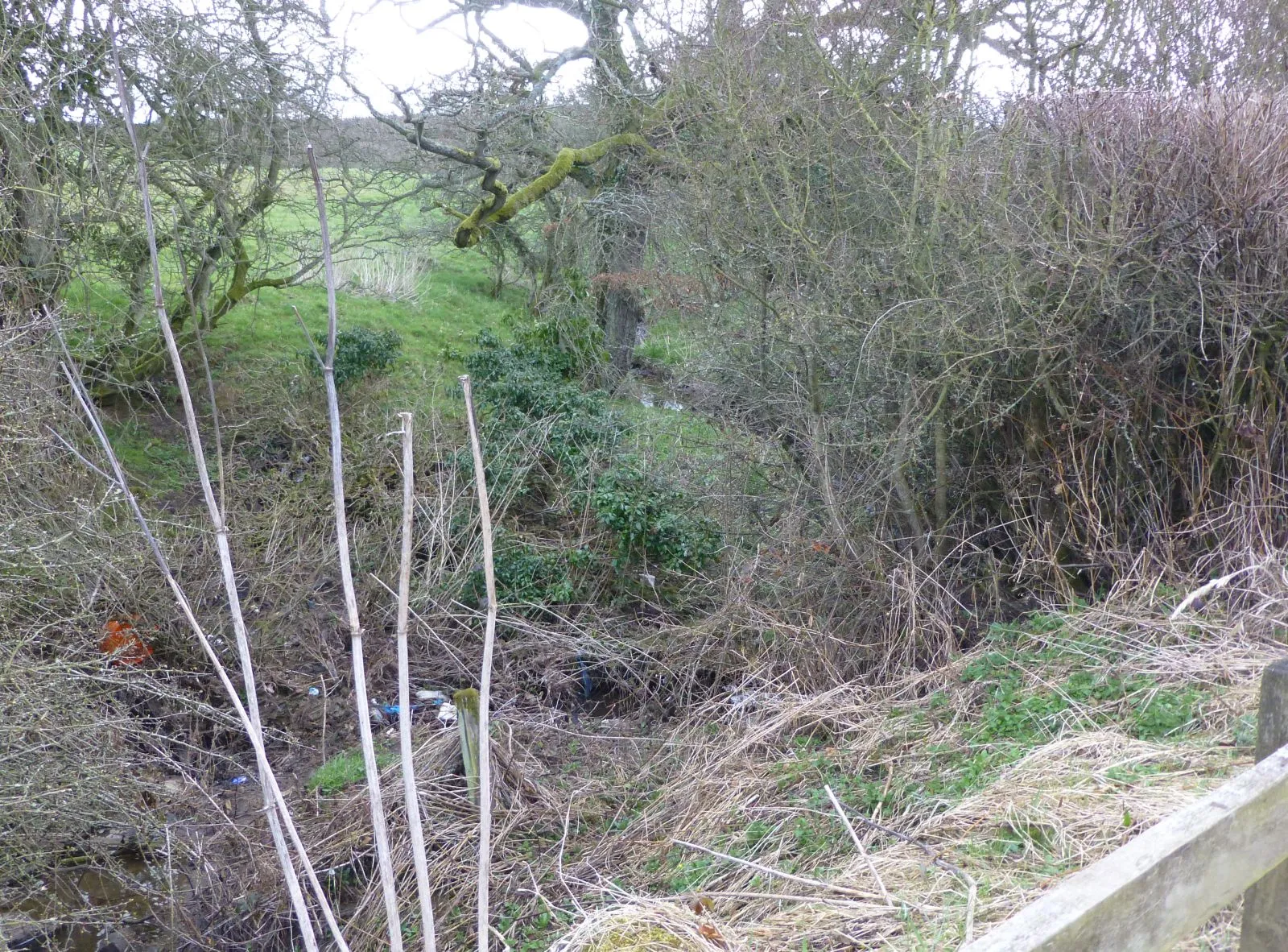 Photo showing: Unnamed burn