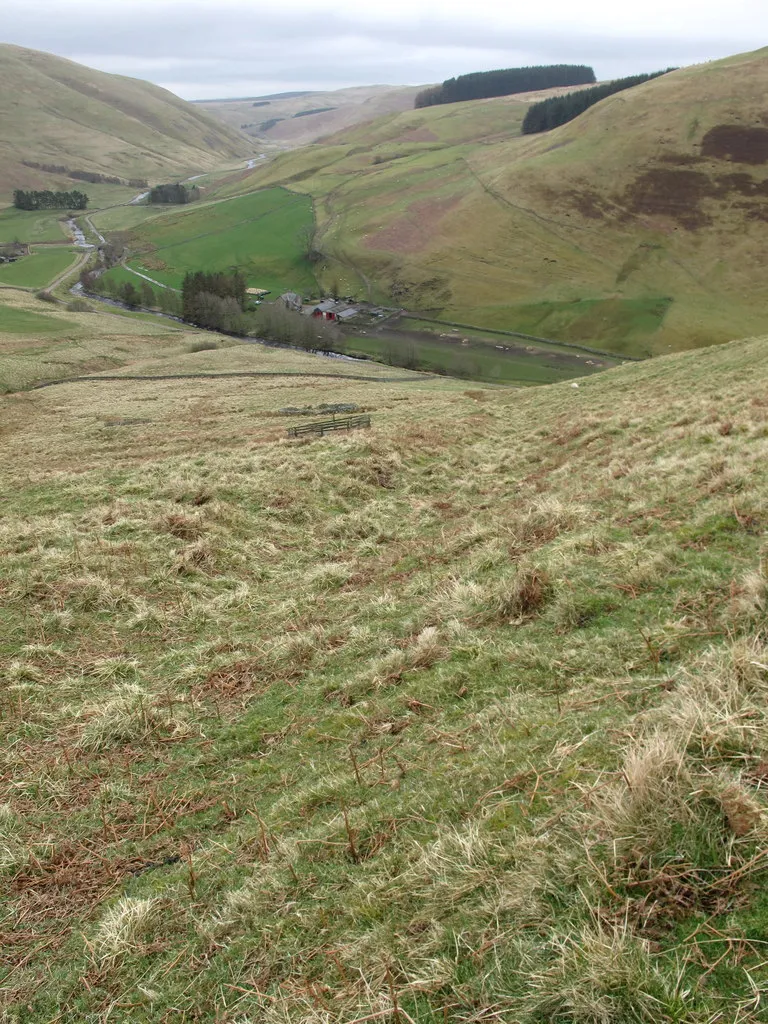 Photo showing: Sod Dyke (Turf Wall) on Barrow Law