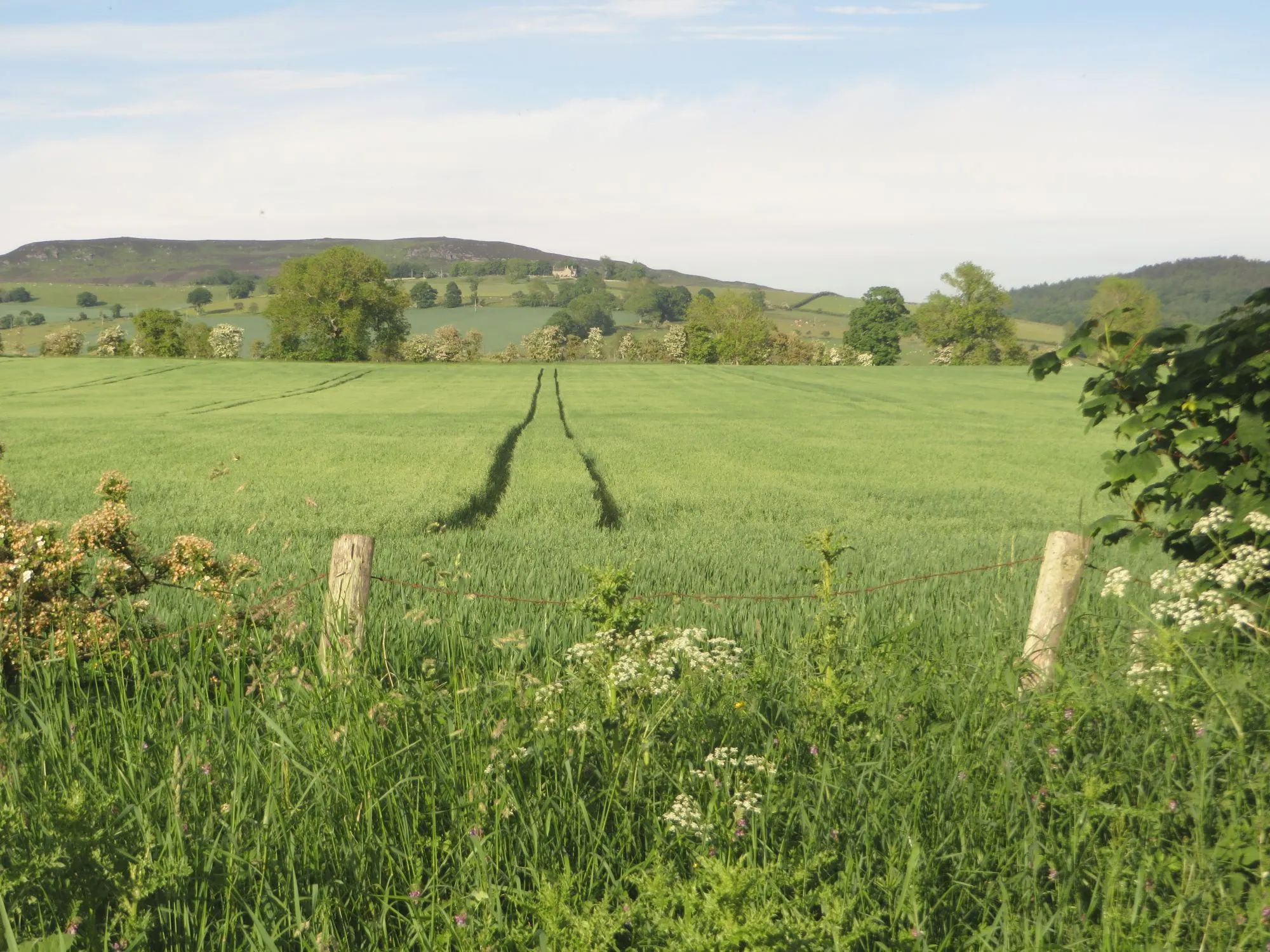 Photo showing: Arable land north of Snitter