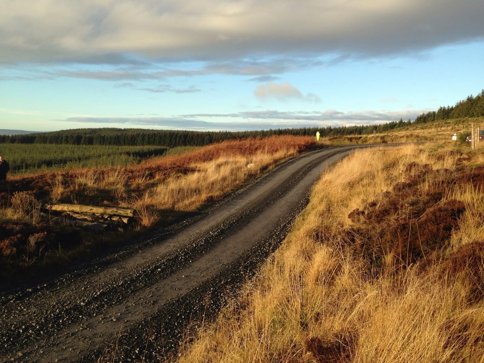 Photo showing: Forestry road in Harwood Forest