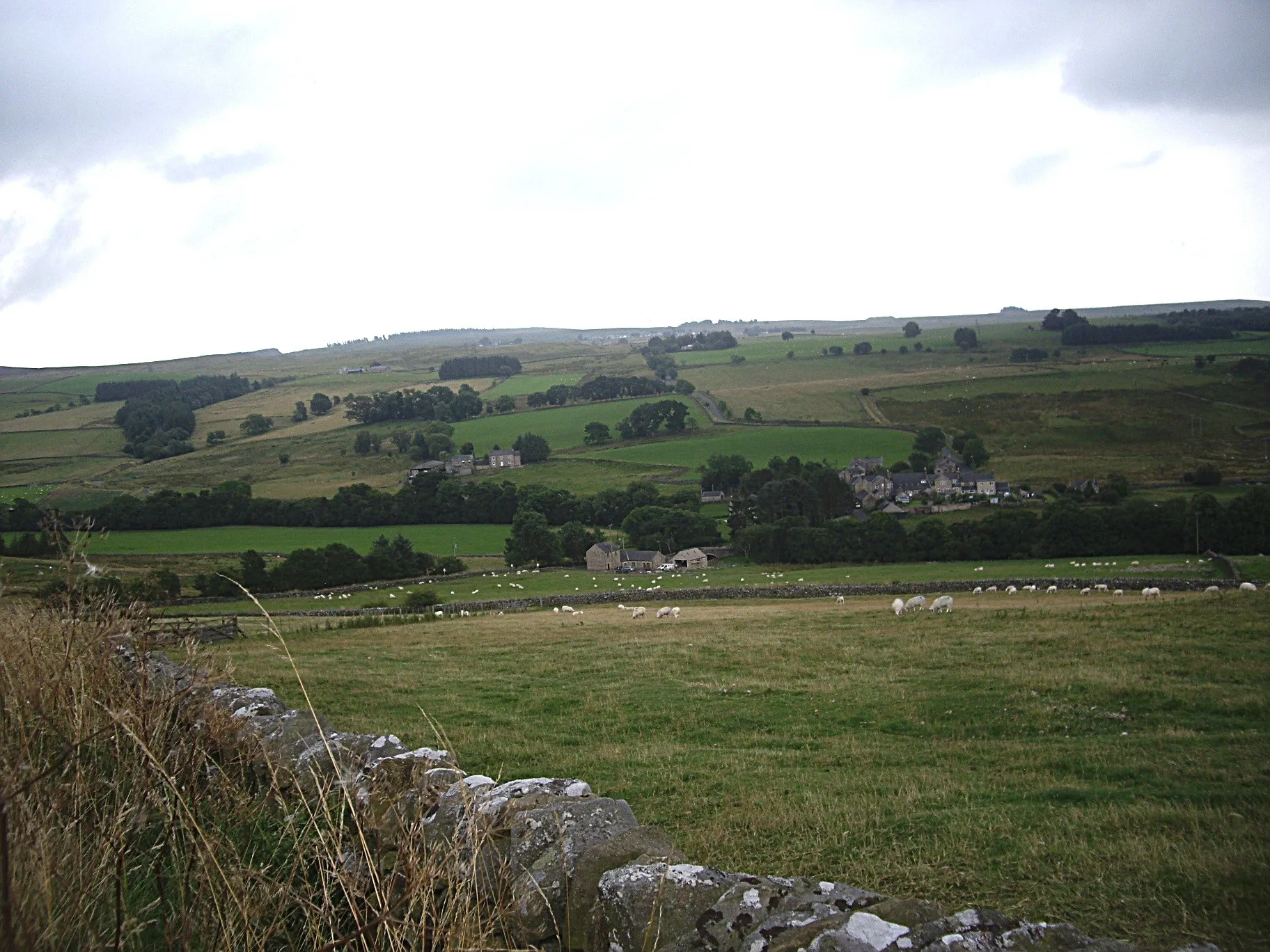 Photo showing: East Woodburn from the Monkridge road