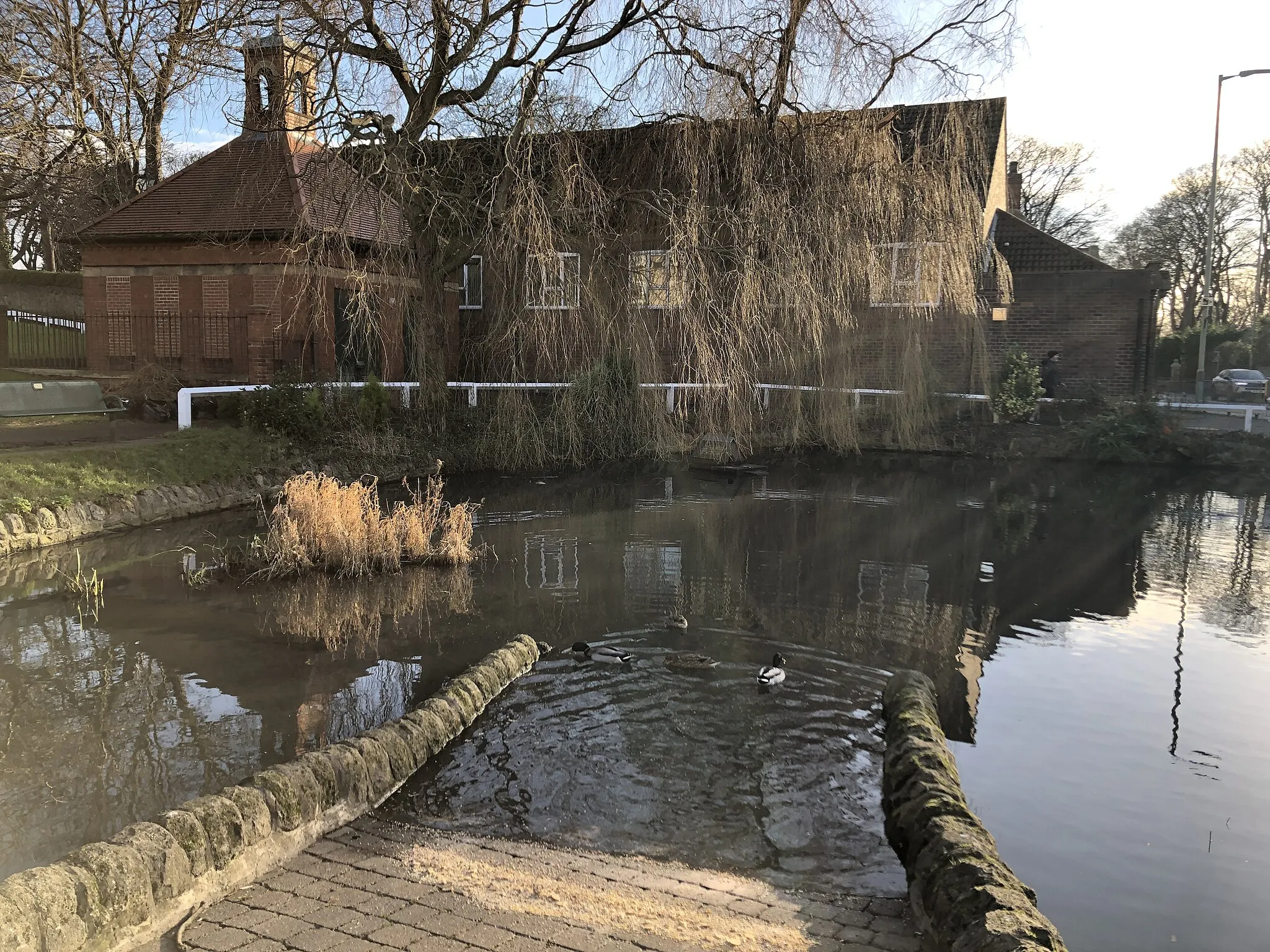 Photo showing: Cleadon Pond. The pond is likely to have facilitated human settlement in the village for many centuries.