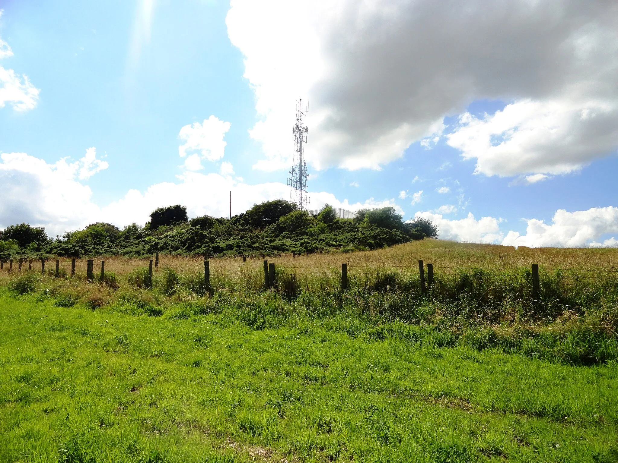 Photo showing: Blackmoor Hill