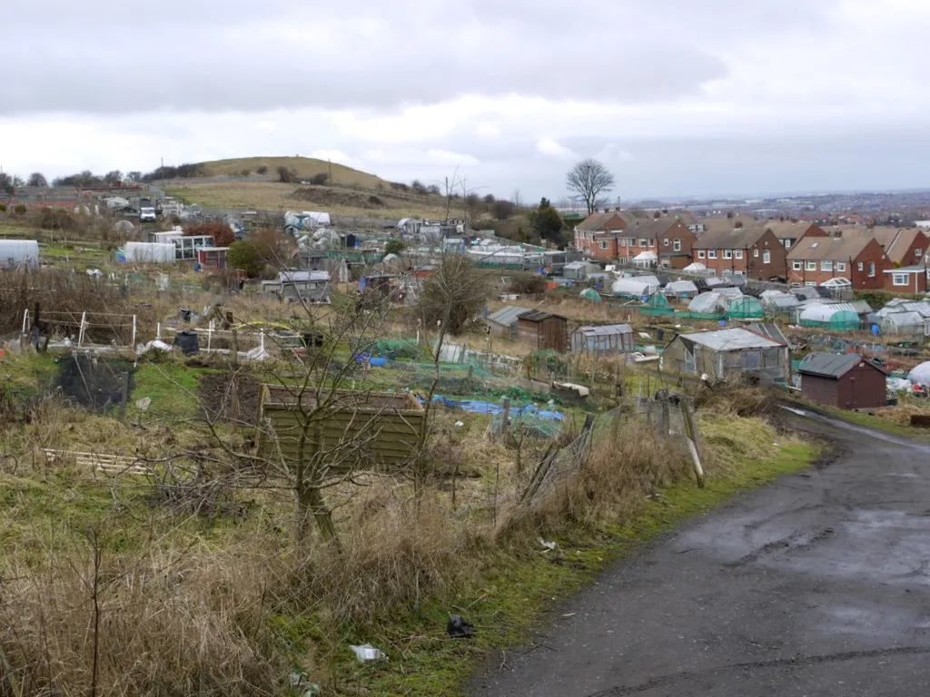 Photo showing: Allotments, Tunstall Hills