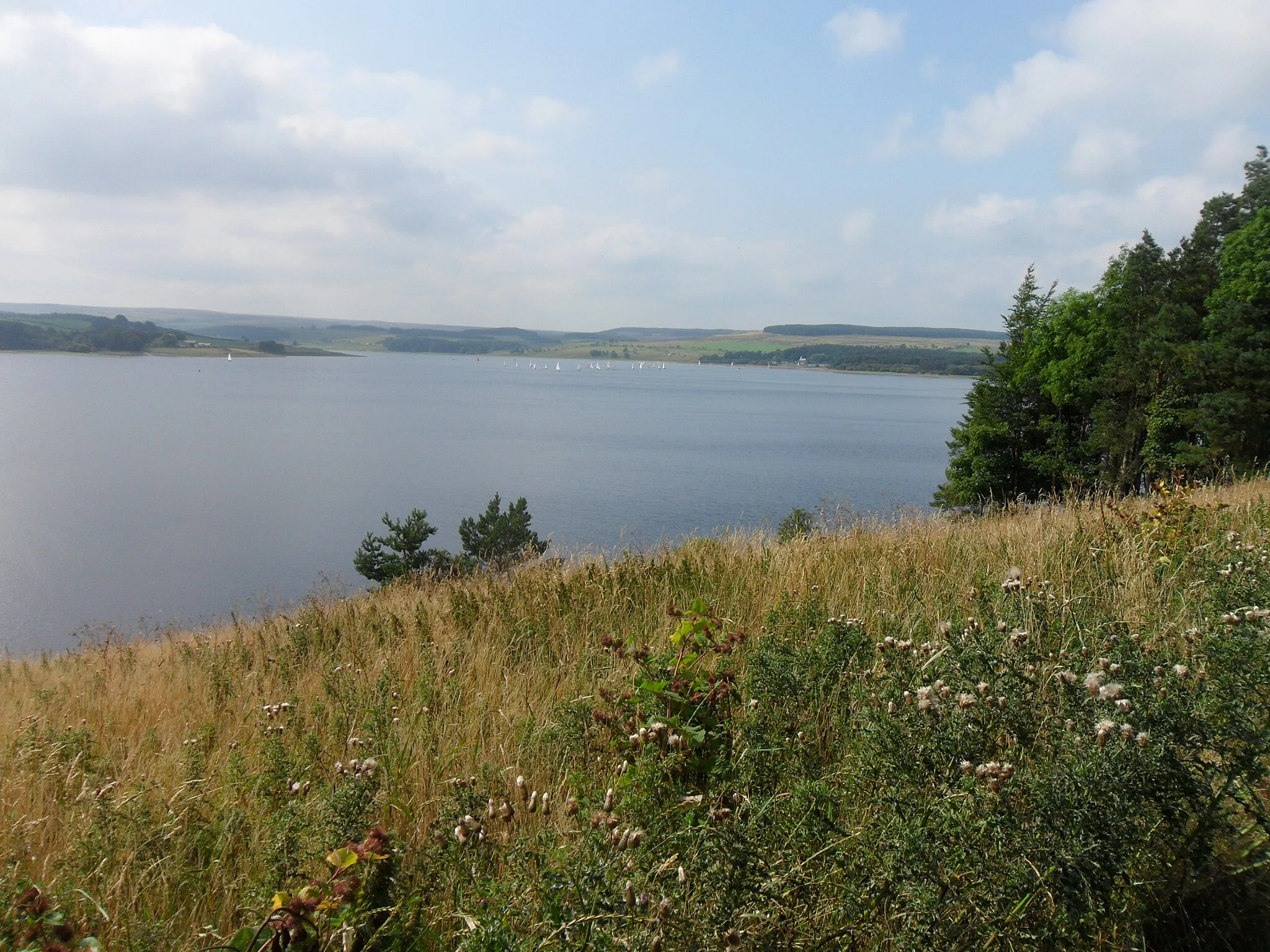 Photo showing: Derwent Reservoir