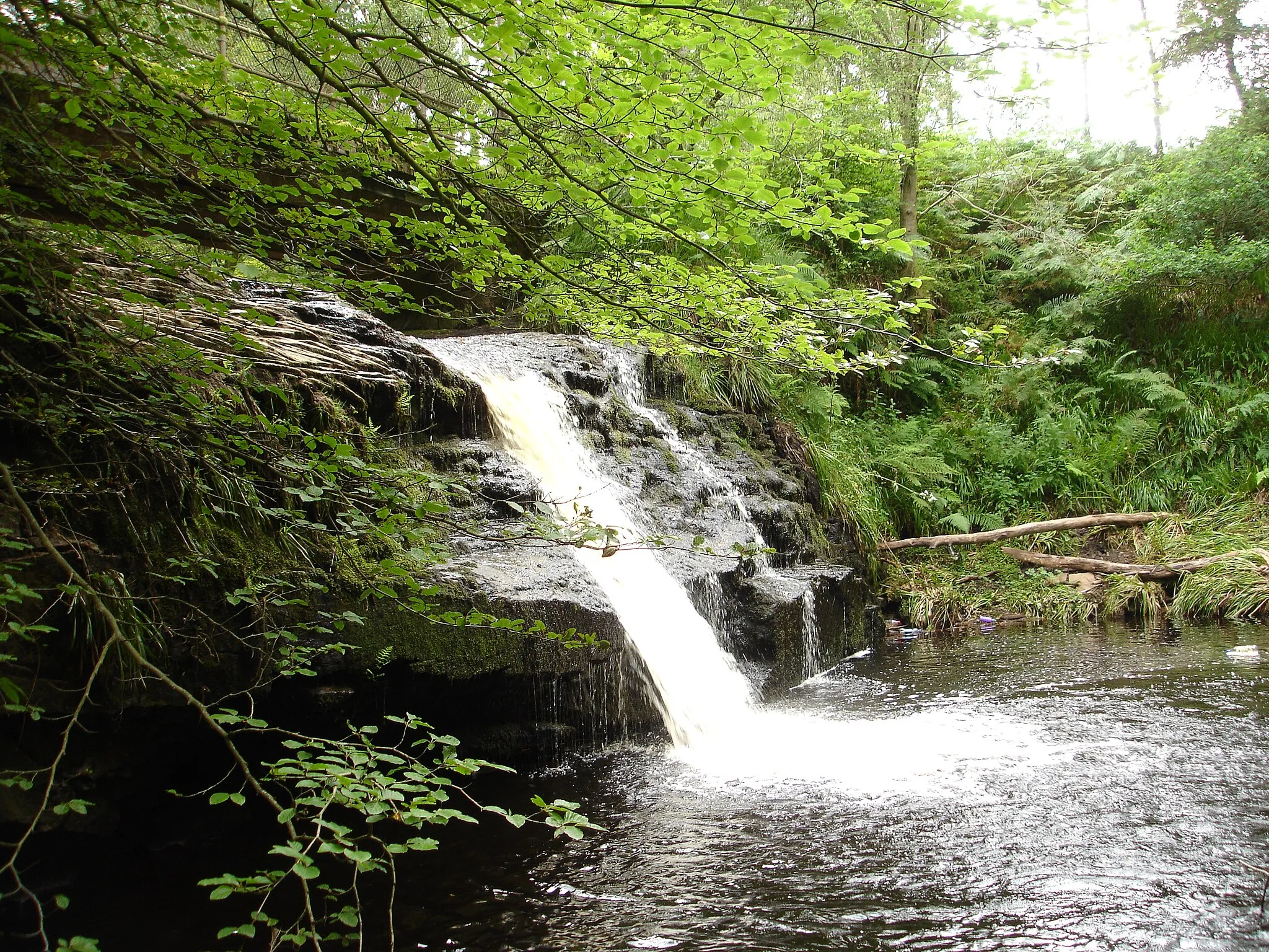 Photo showing: Blackling Hole Waterfall