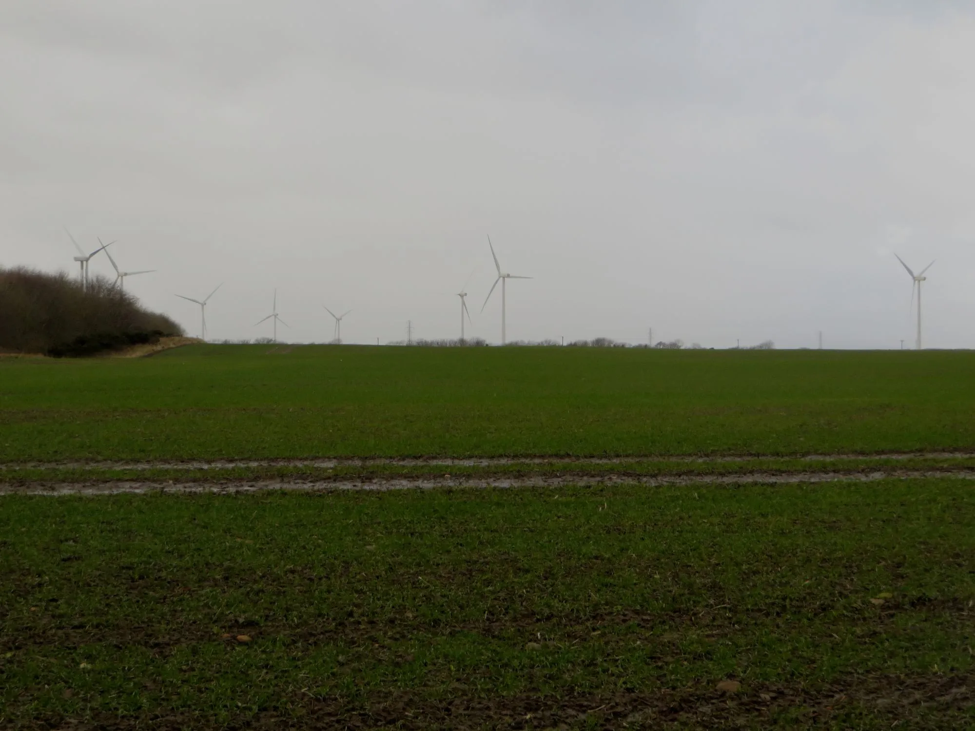 Photo showing: Arable land south of Lynemouth