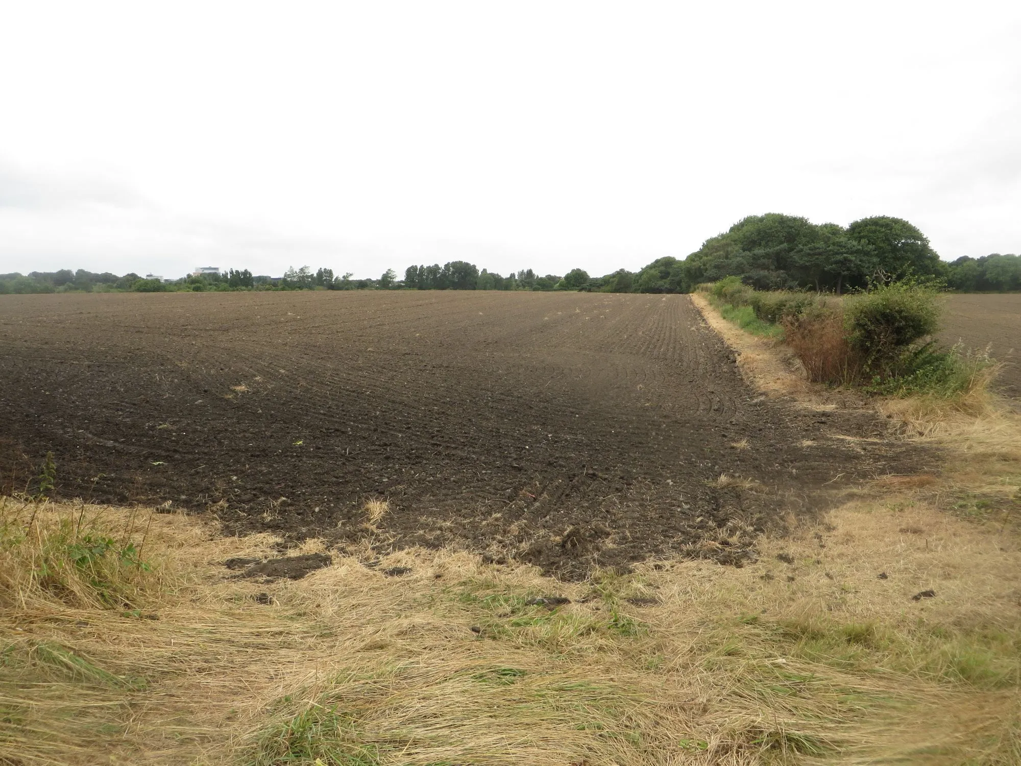 Photo showing: Arable land off Salters Lane