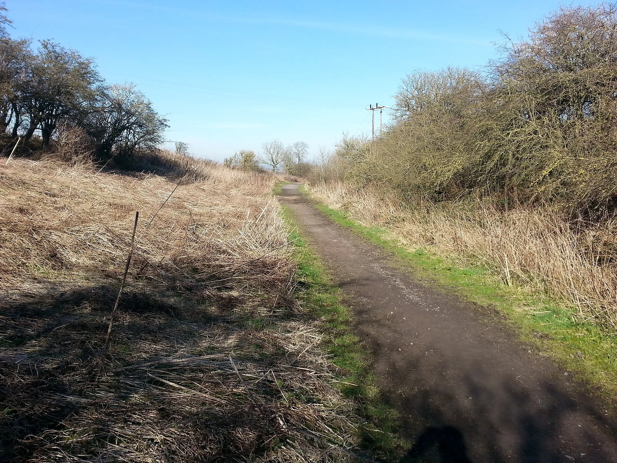 Photo showing: Bridleway at Warden Law