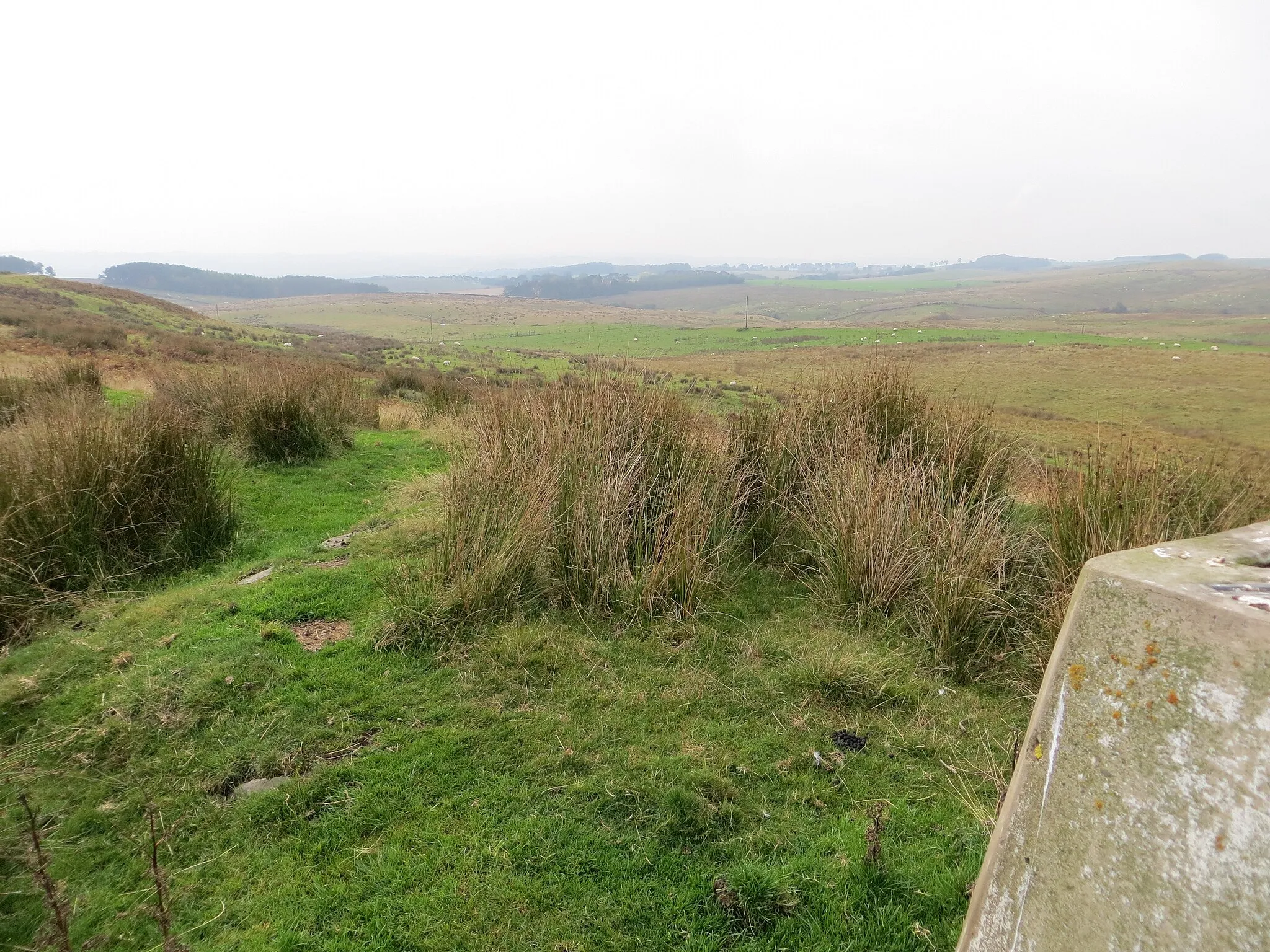 Photo showing: A view of Long Crag