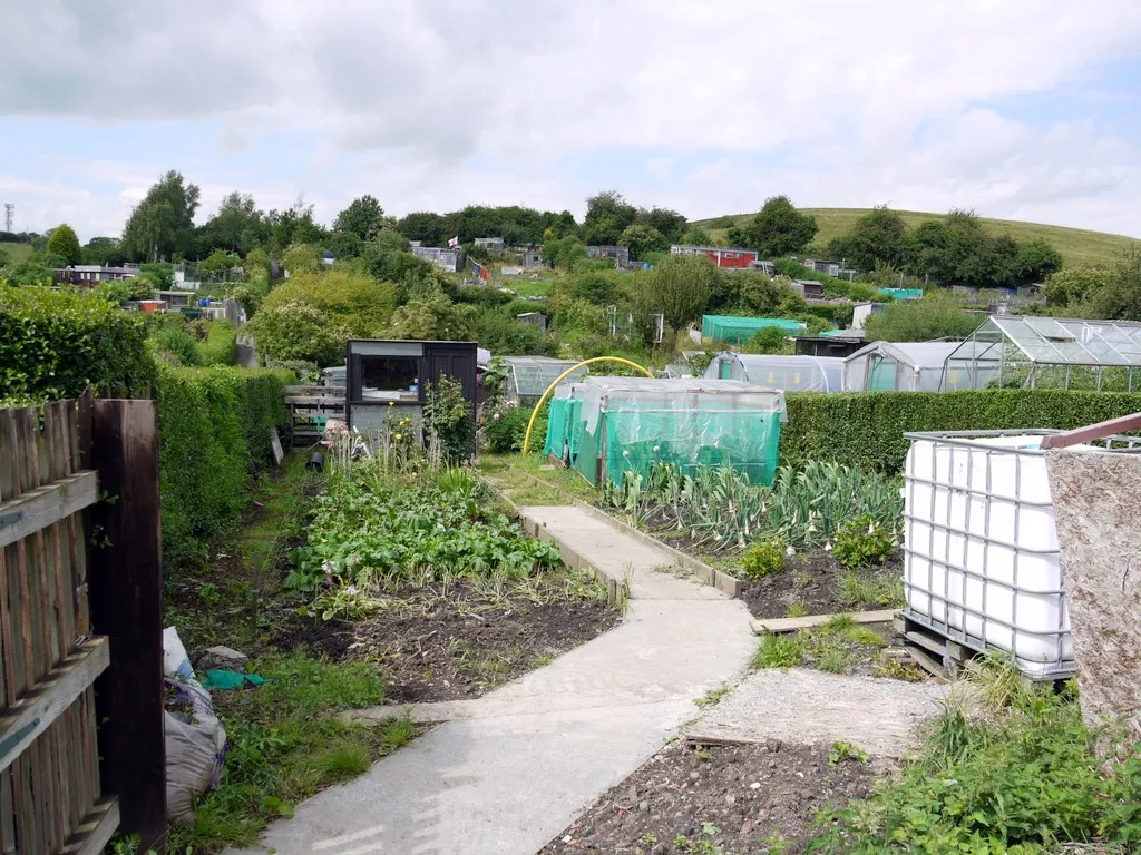 Photo showing: Allotments off Azalea Way, Newburn, near to Newburn, Newcastle Upon Tyne, Great Britain.
Rye Hill is behind, to the right, and formed part of the high ground occupied by the Scottish army which overlooked Newburn Ford (previously in the vicinity of Newburn Bridge) in the Battle of that name in 1640 NZ1665 : Monument commemorating the Battle of Newburn Ford