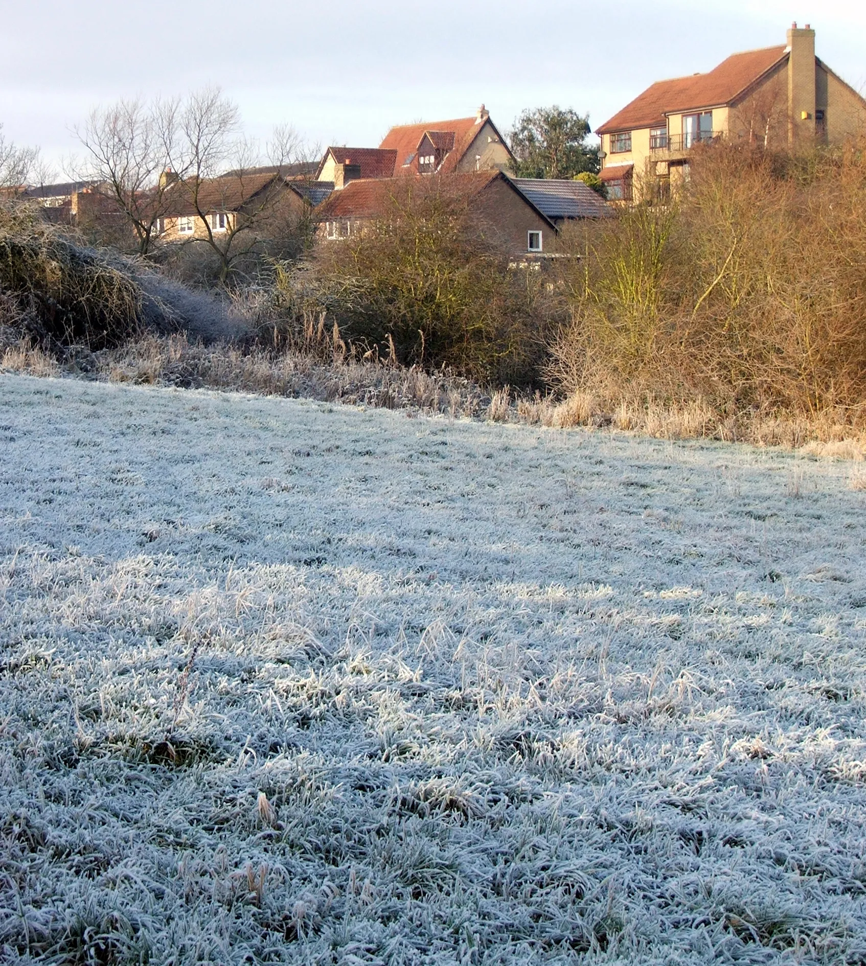 Photo showing: Frosty Field