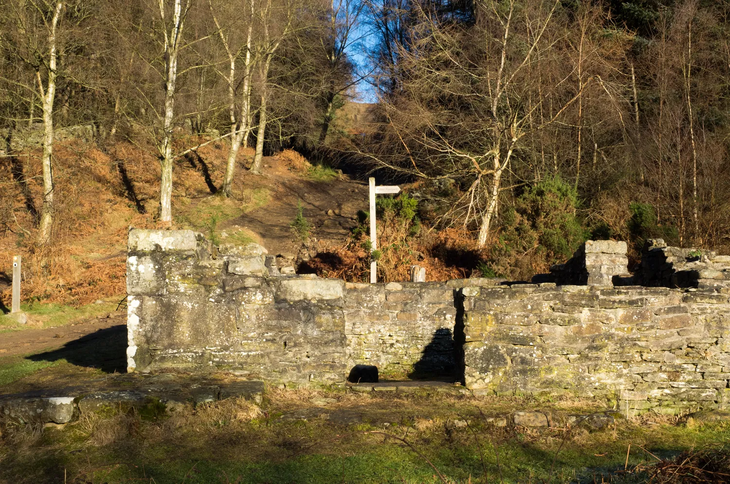 Photo showing: Remains of Metcalfe's House