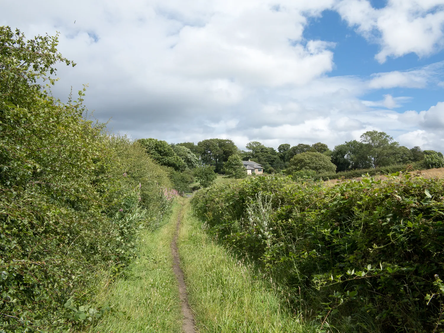 Photo showing: Footpath near High Urpeth