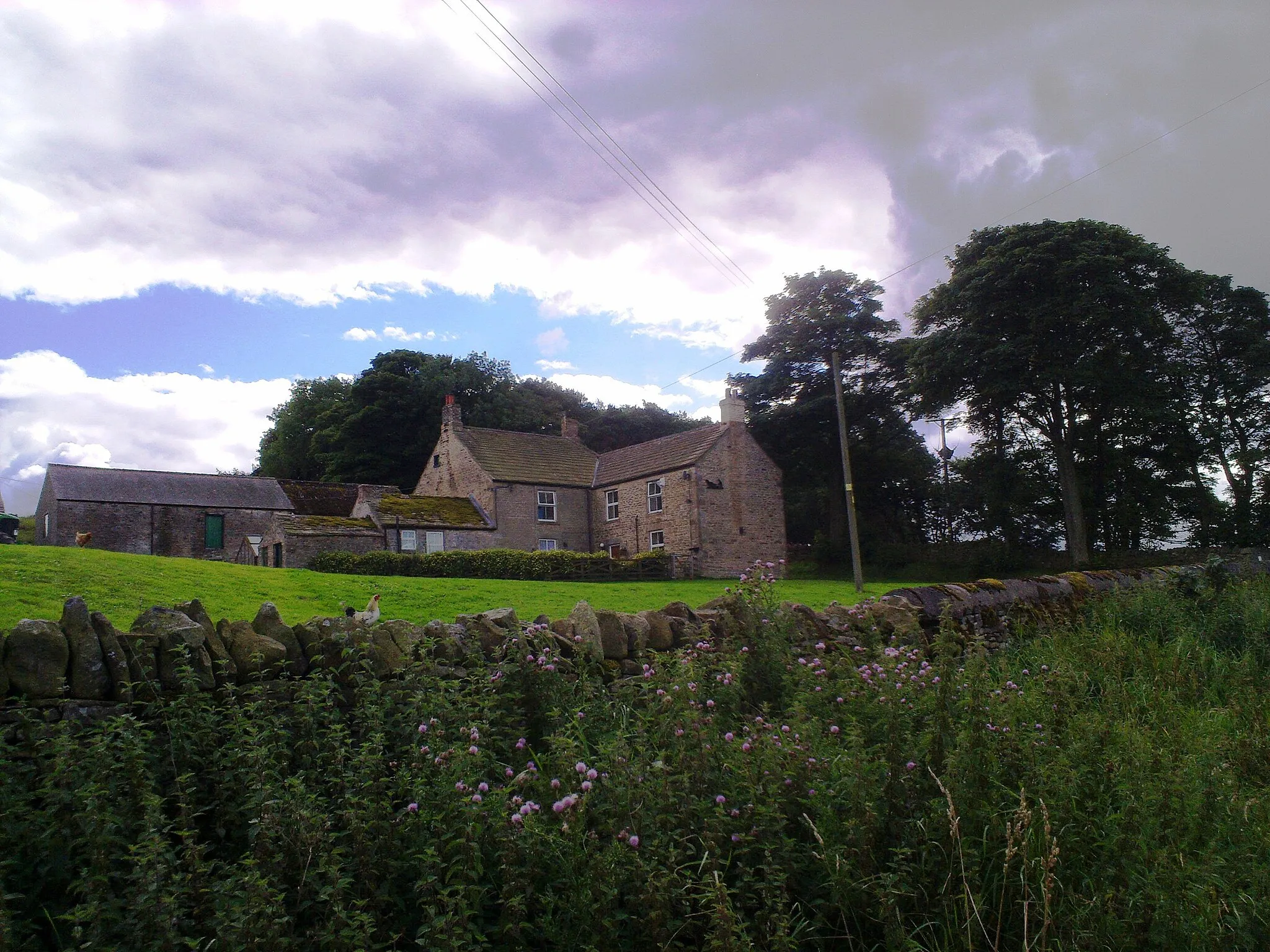 Photo showing: Healeyfield Farm