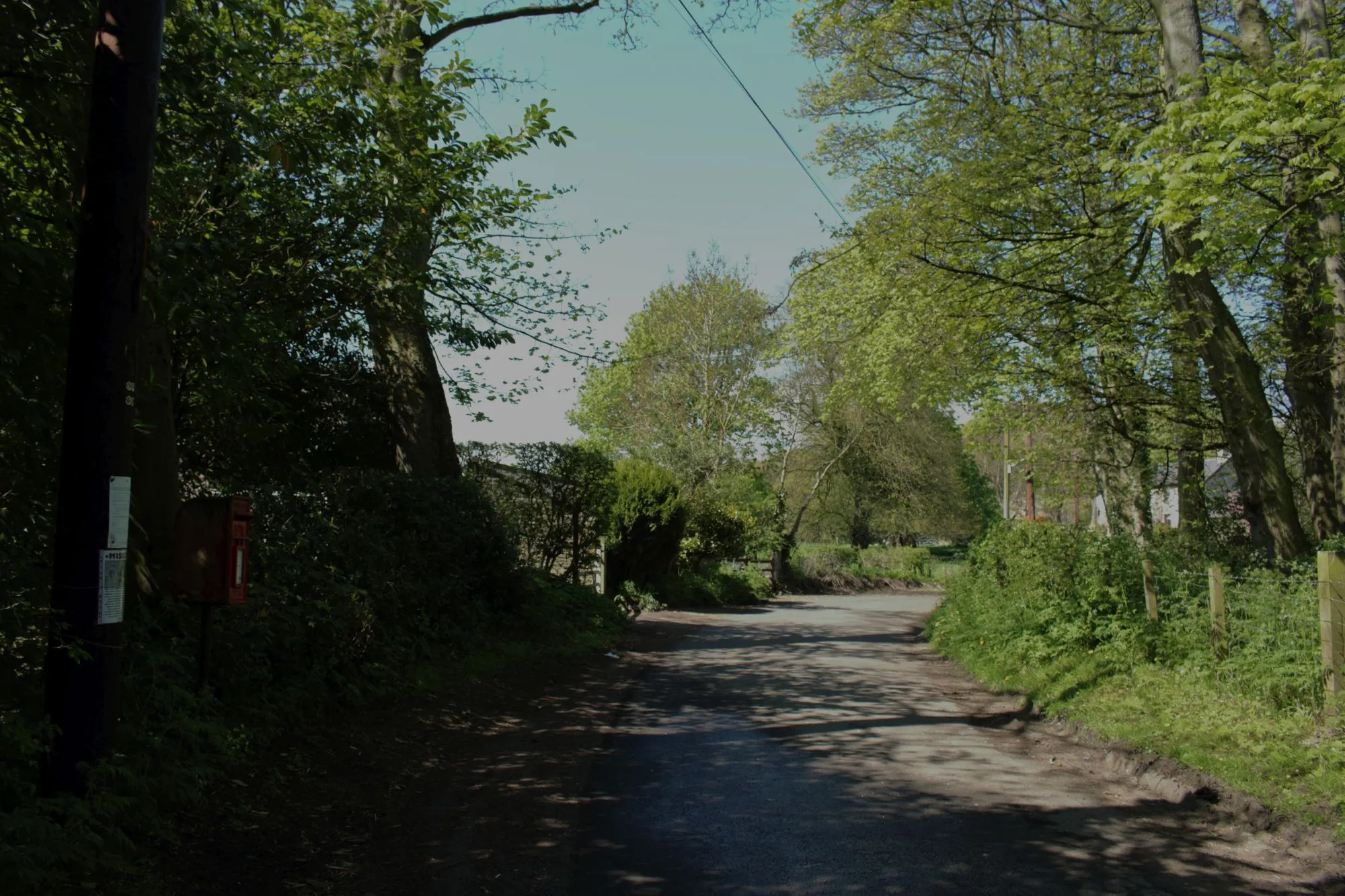 Photo showing: Minor road through Eachwick